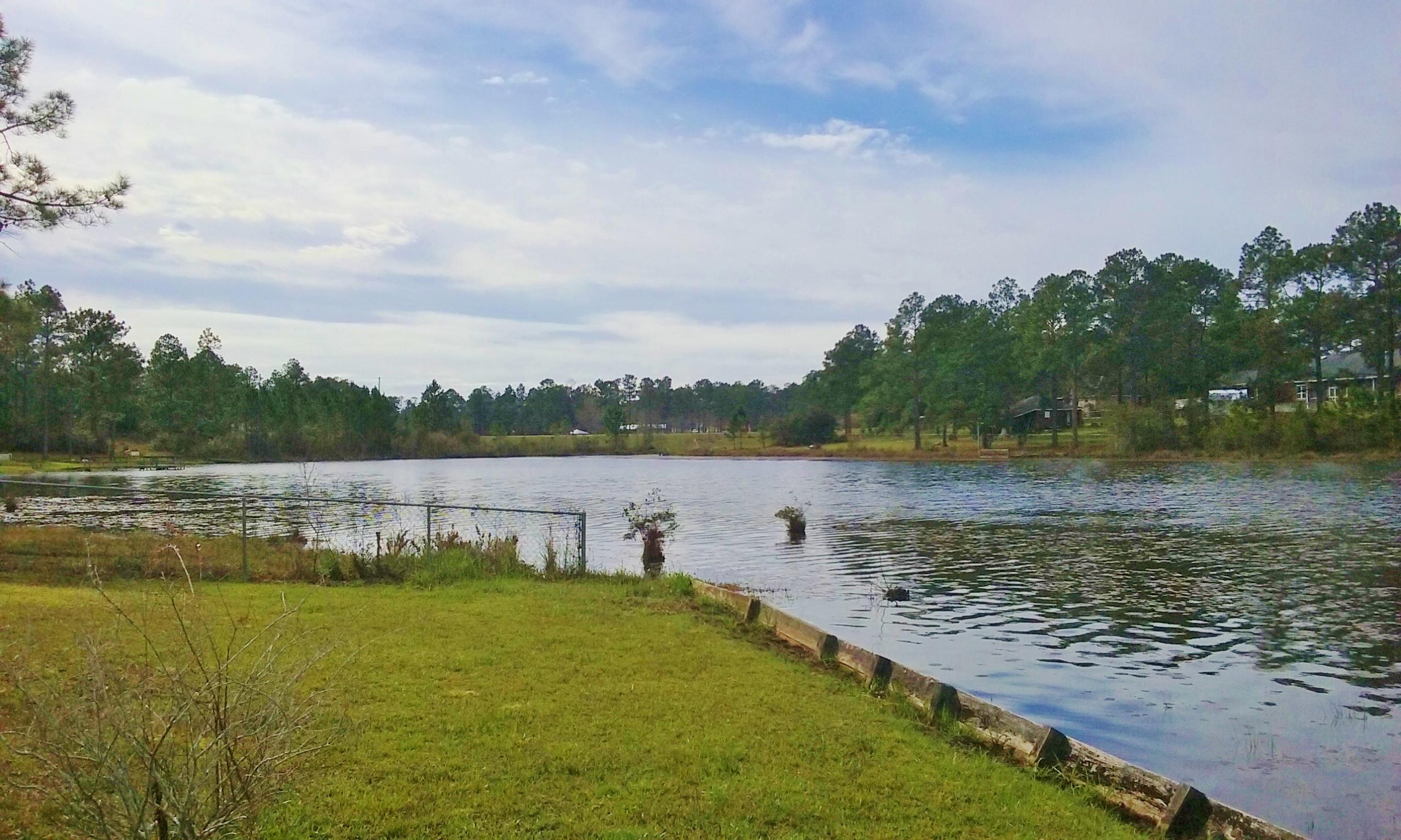 LAKESHORE GARDENS - Residential