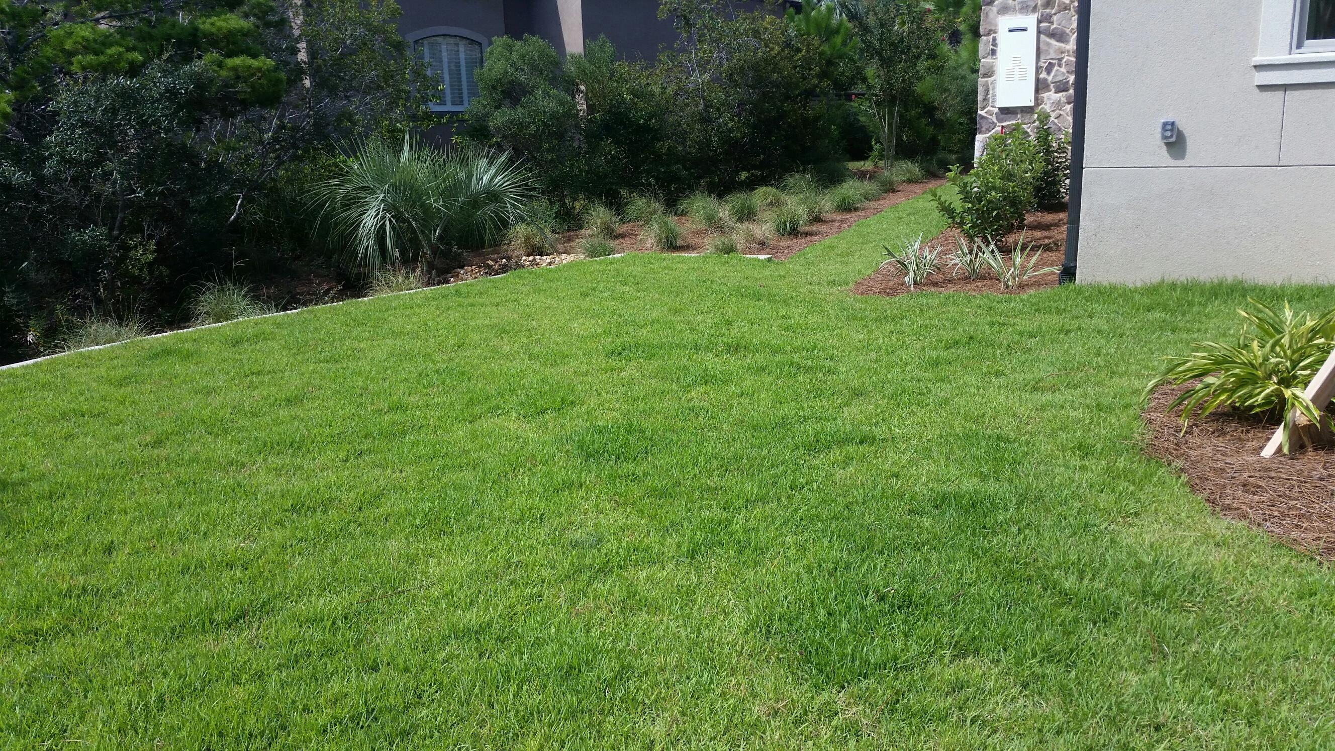 BURNT PINE - Residential