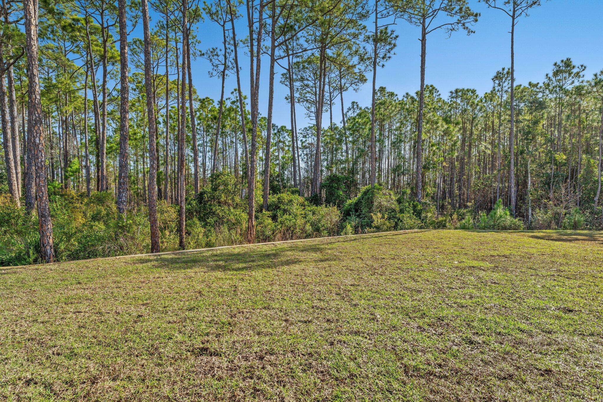 Treasure Trove - Residential Lease