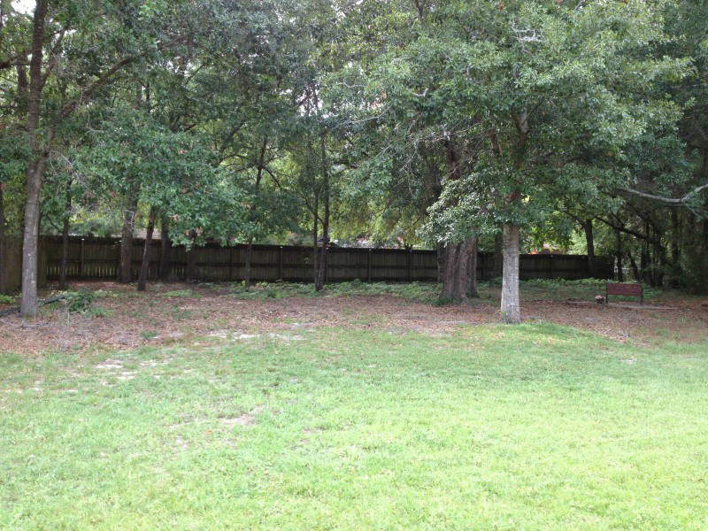 BRYN MAWR PARK - Residential