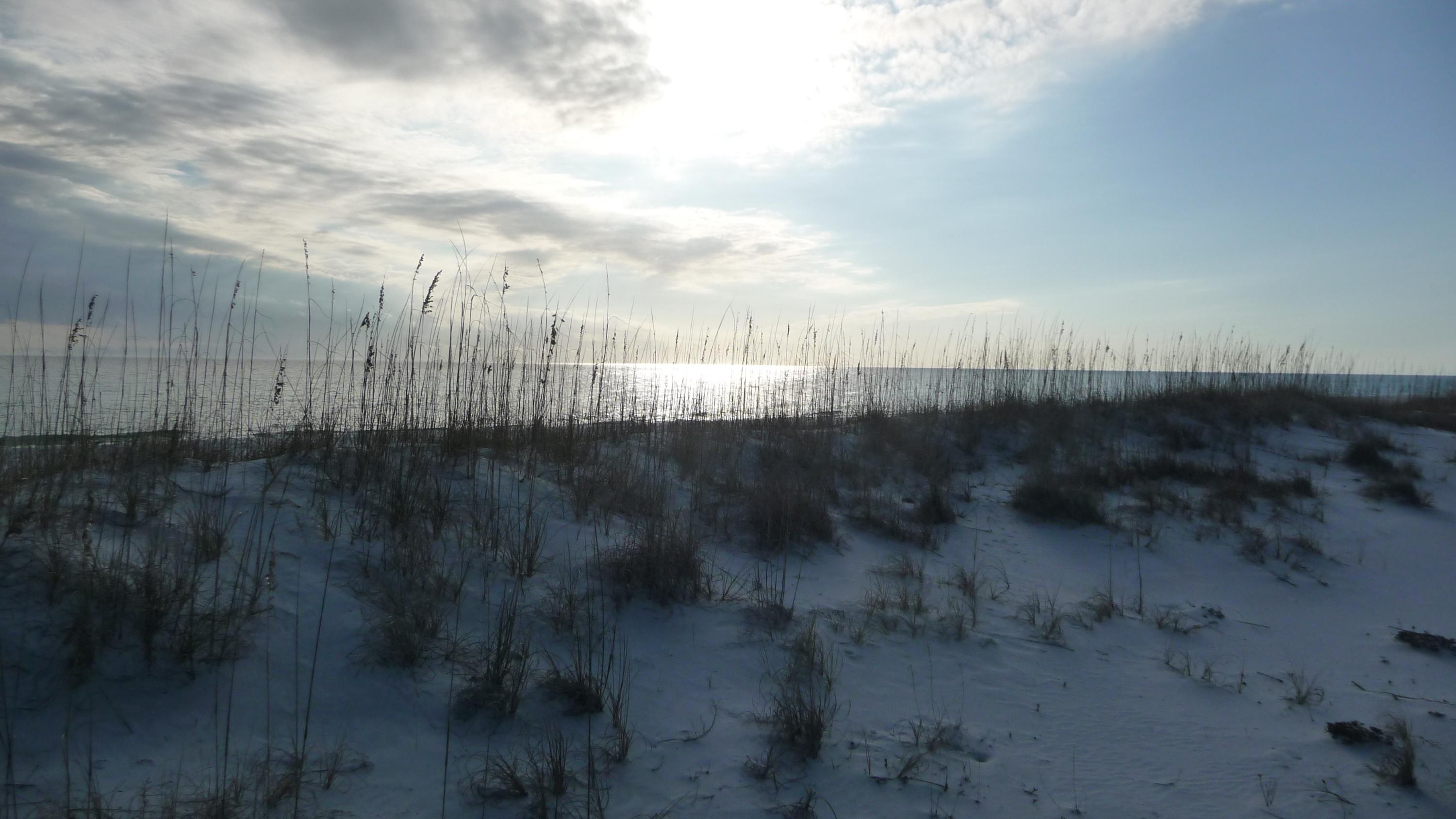 FOUR MILE VILLAGE - Residential