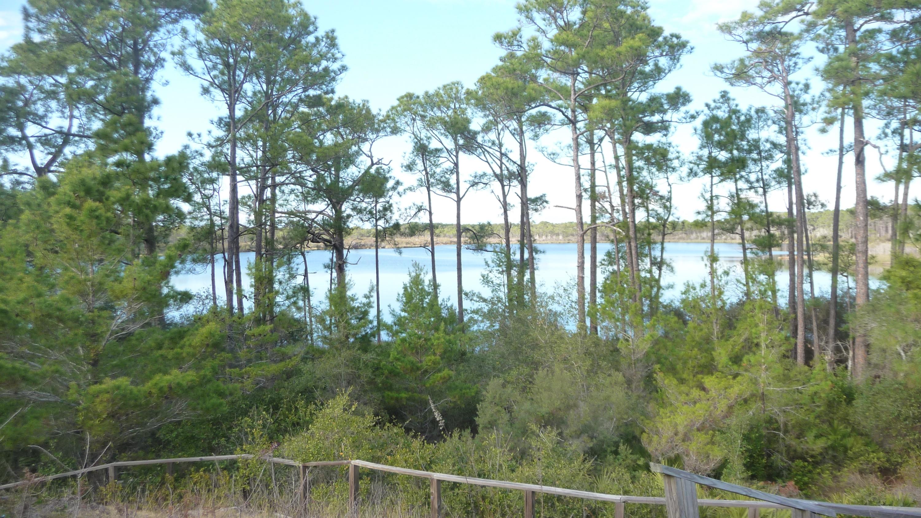 FOUR MILE VILLAGE - Residential