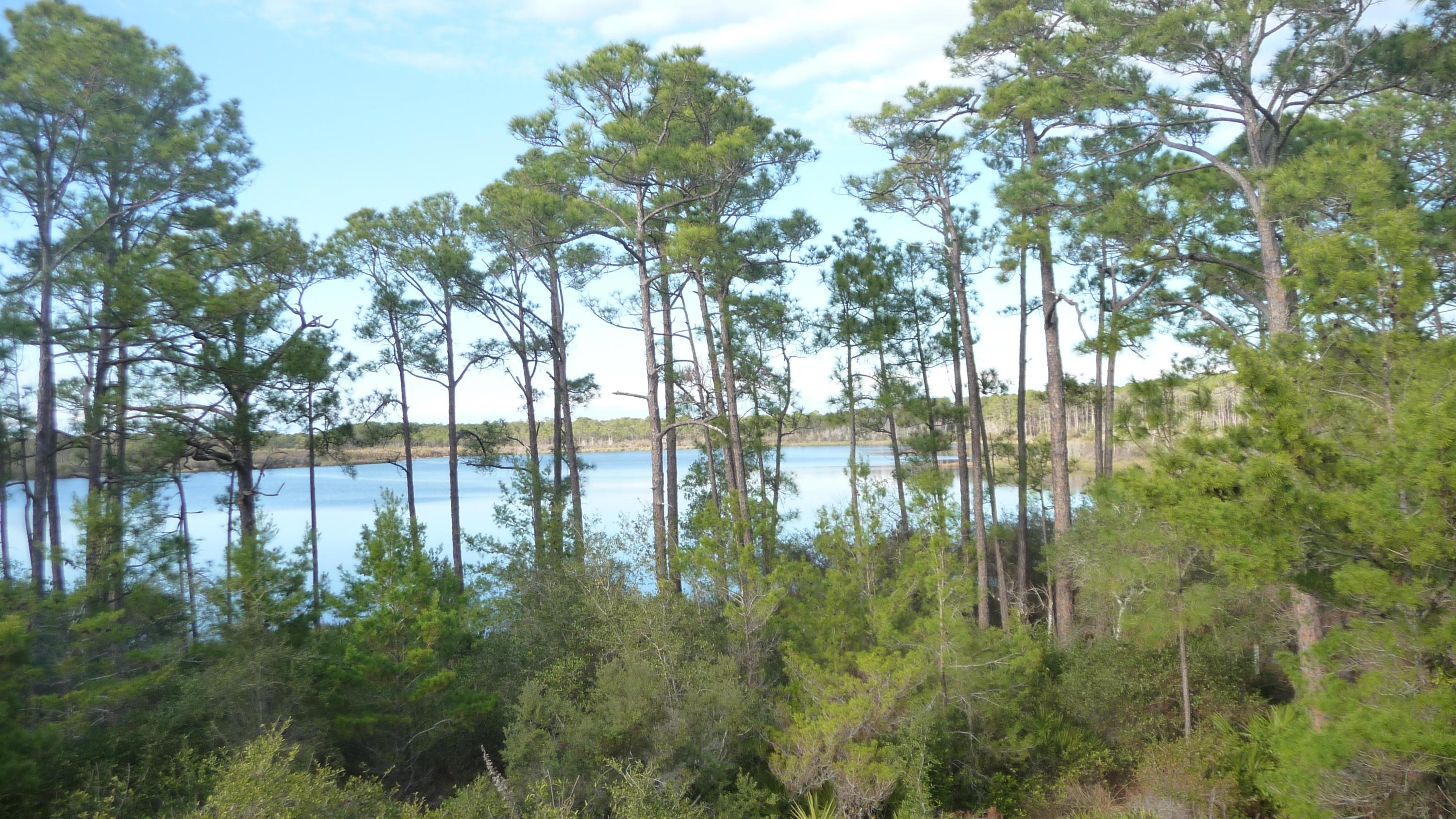 FOUR MILE VILLAGE - Residential