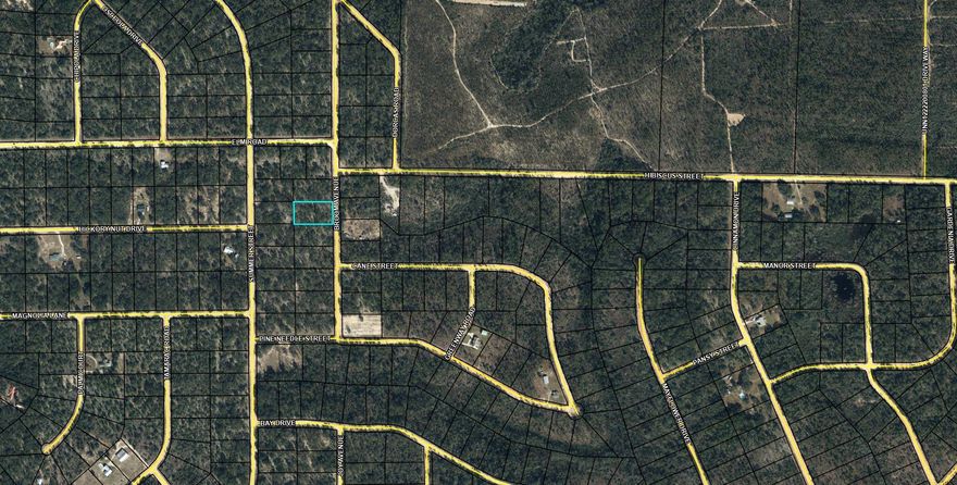 Large 1.124 acre lot in Compass Lake in the Hills. There is a voluntary HOA of $135 a year, but what a great price for all the amenities that are included such as: access to 2 lakes for fishing, tennis, horse stables / riding, rental cabins, RV spots, boat rentals, clubhouse, and a golf range. Being an all-sports lake, enjoy water skiing, tubing, jet skiing, boating, sailing, kayaking & swimming. No need to worry about lunch while out on the water when you have a boat accessible shoreline restaurant. This location is great for someone who enjoys nature and a short drive to the beach since it is located half way between Panama City And Dothan. The area is rich in historical significance, with many restored antebellum plantation homes open for tours or as bed-and-breakfast