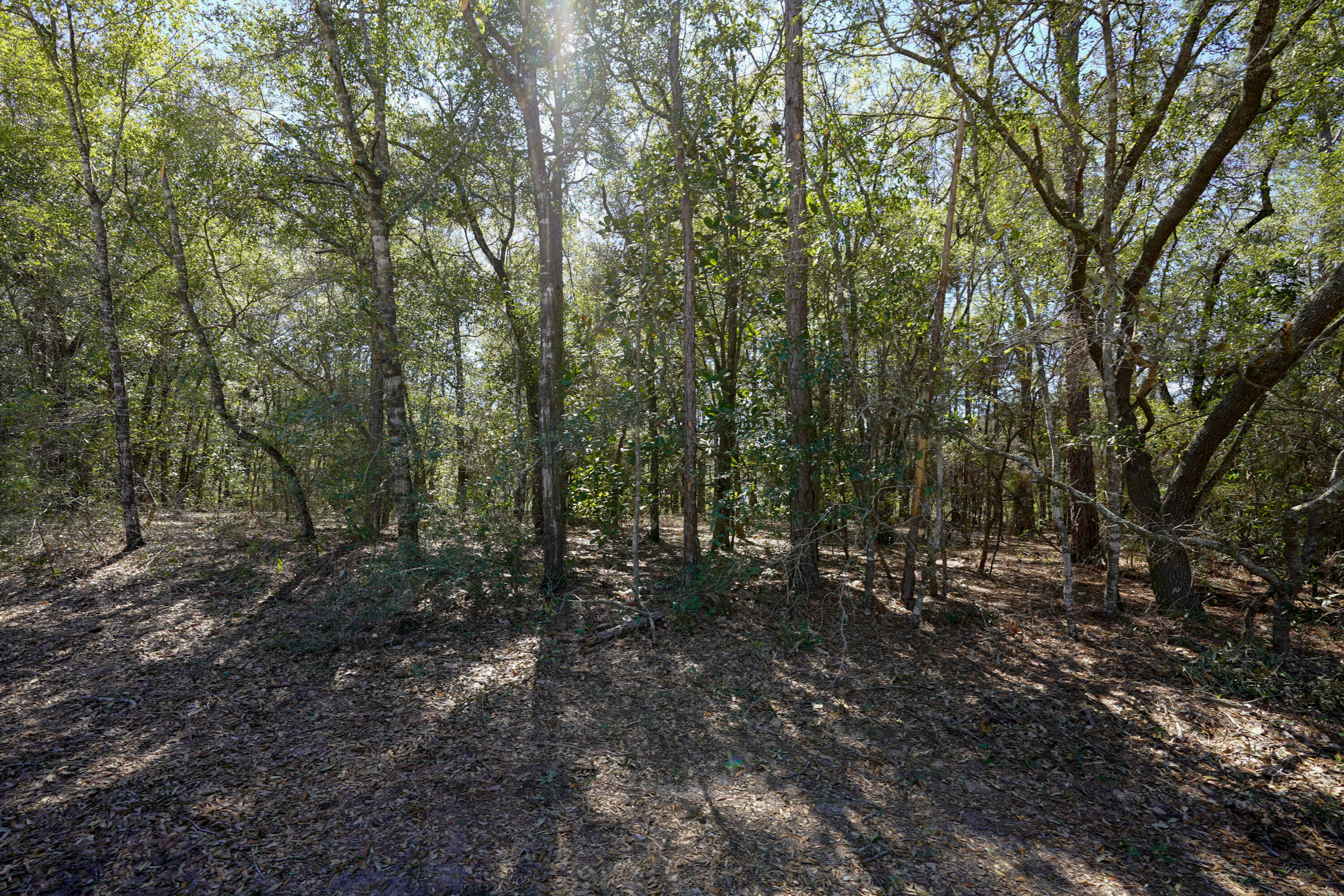 WILDWOOD LAKES UNIT 2 - Land