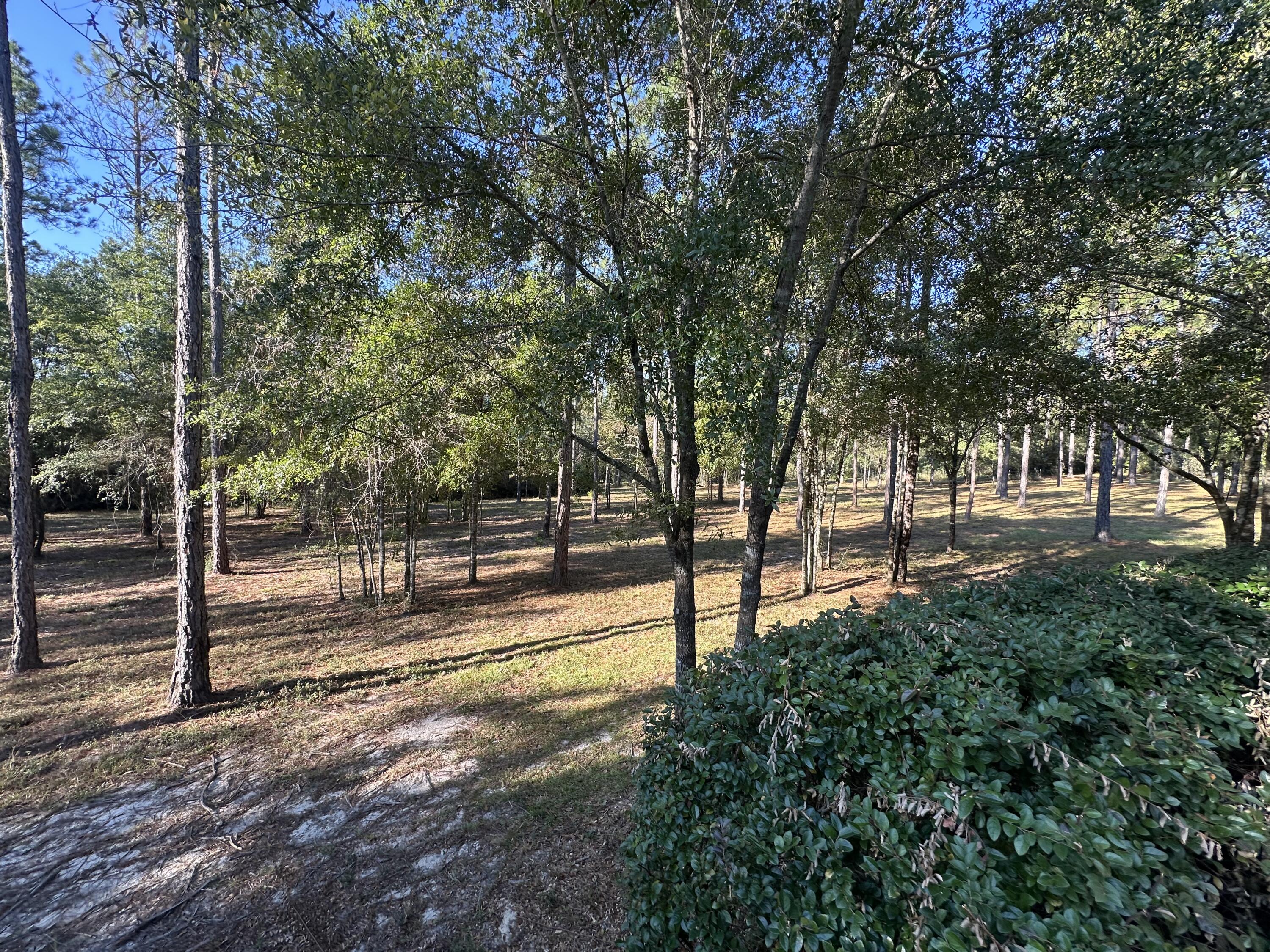 WALTON PLANTATION - Residential