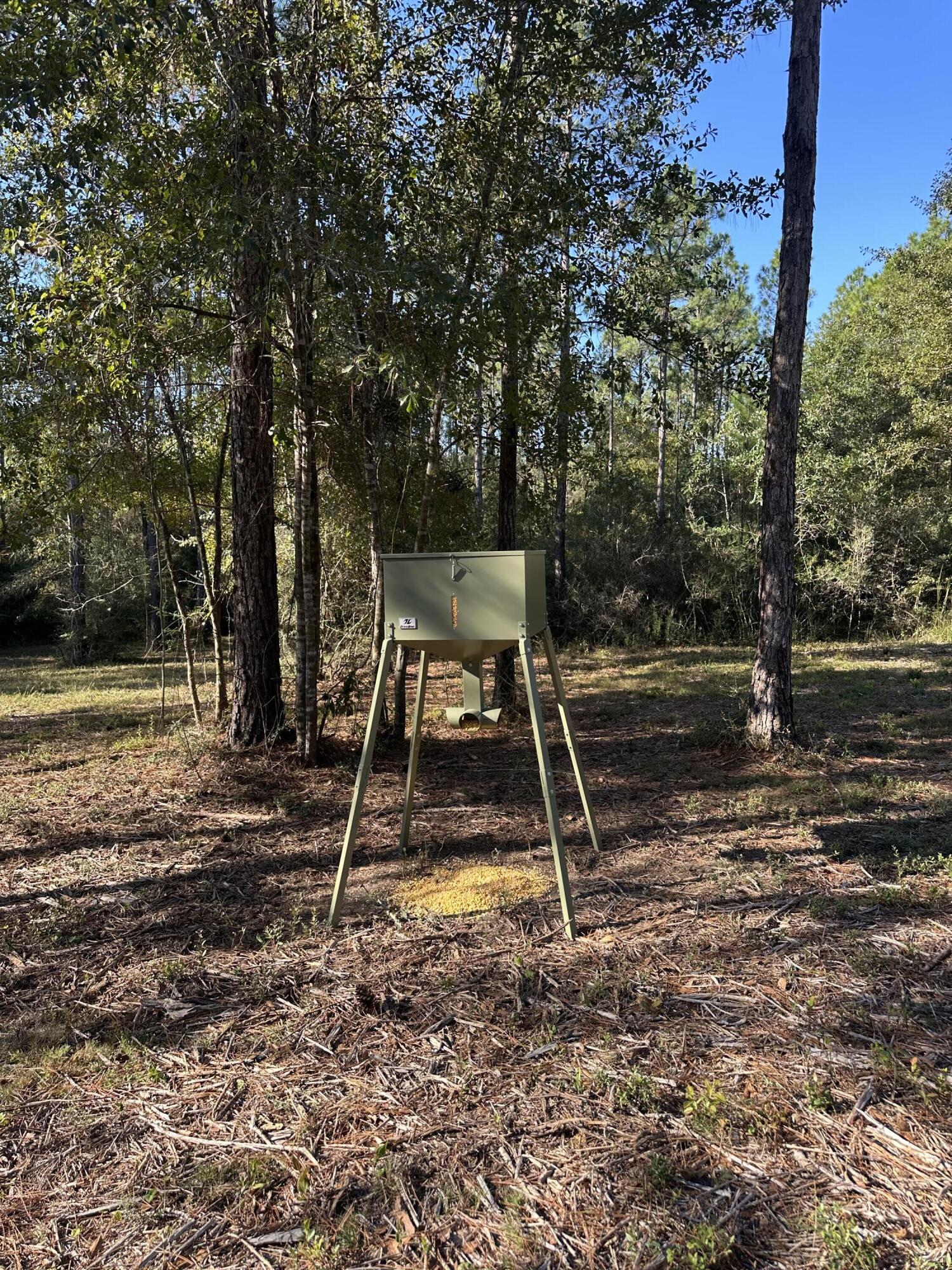 WALTON PLANTATION - Residential