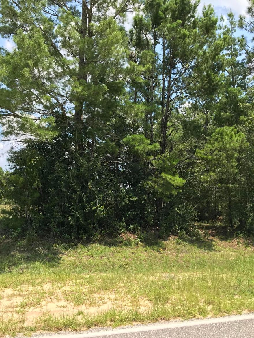 Nicely wooded parcel of land in north Walton County. The north end of the property is taken up by a power line easement which would be great for your crops or pasture. And you can build your new house on the south end of the property. Utilities are available to the property, however none are on the property at this time Within 2 miles of this property is an elementary school, two fire stations, a golf course, I-10 interstate and the Dollar General store. So it is a perfect location.