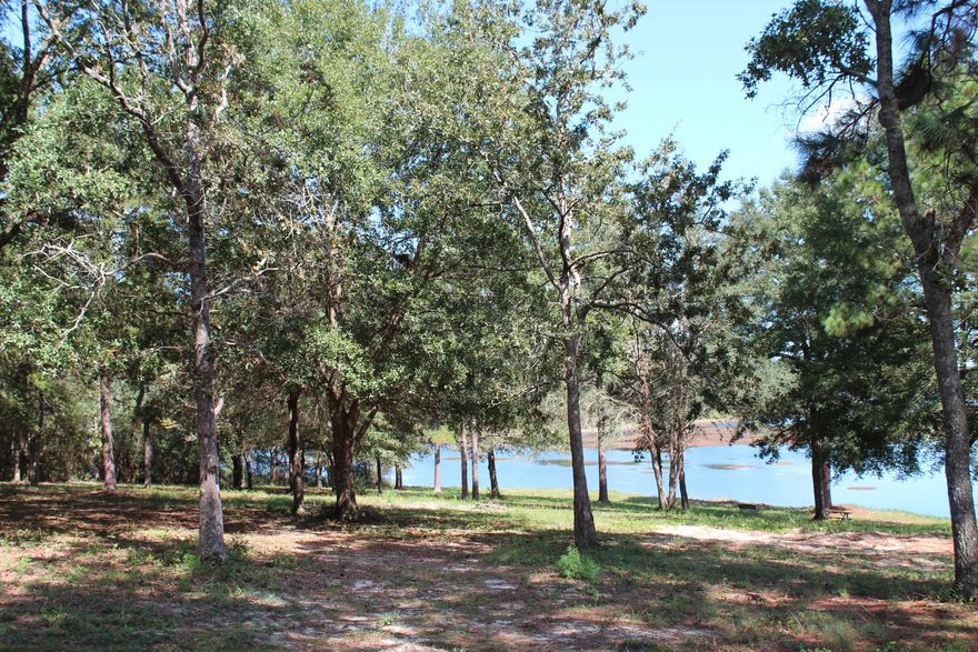 One of the nicest waterfront lots on Lake Juniper. Over 230 feet on the water. . Very attractive homesite. Juniper Lake is a state managed lake.