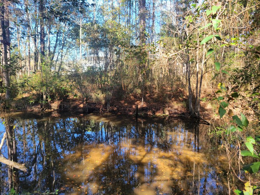 Small waterfront lot right before the dead-end of Jones Road.  Heavily wooded with 75' on a canal that leads into Choctawhatchee Bay in Freeport.  Please click on 'Document' tab for the legal description AND NEW up-to-date survey.  There is also a list of Freeport Agencies that can answer specific questions you may have as to the buildability and usability of the lot.  With the slope of this lot,  be sure to ask if it is possible to build on pilings....