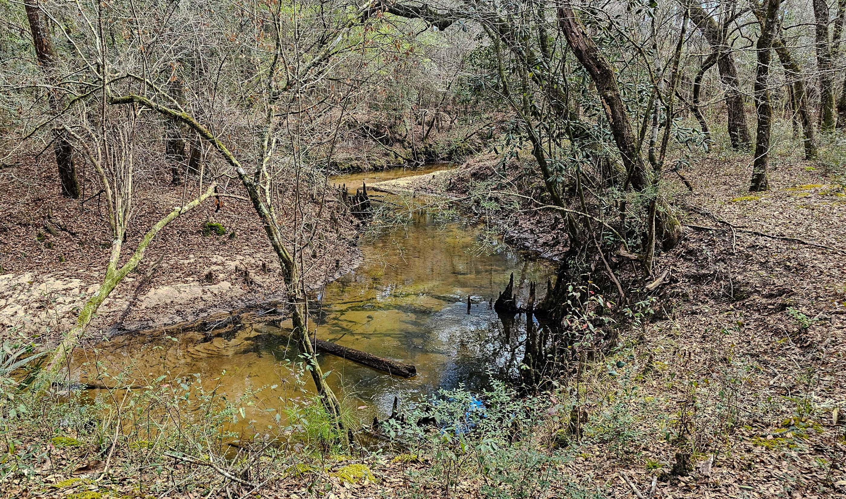 METES & BOUNDS - Land