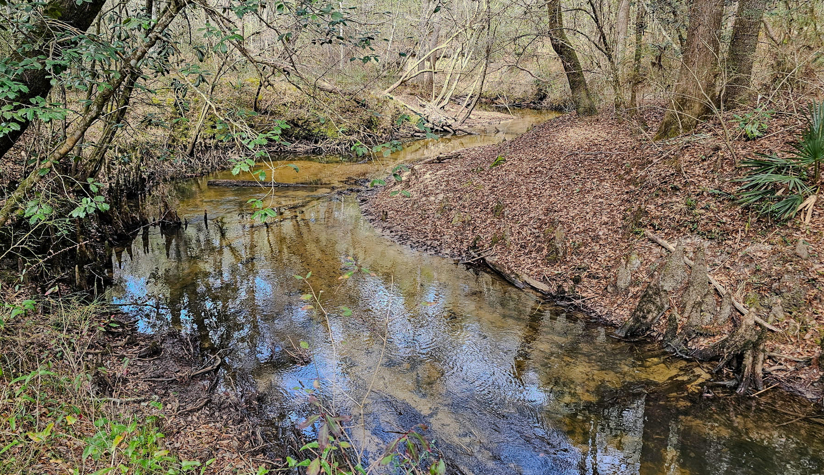 METES & BOUNDS - Land