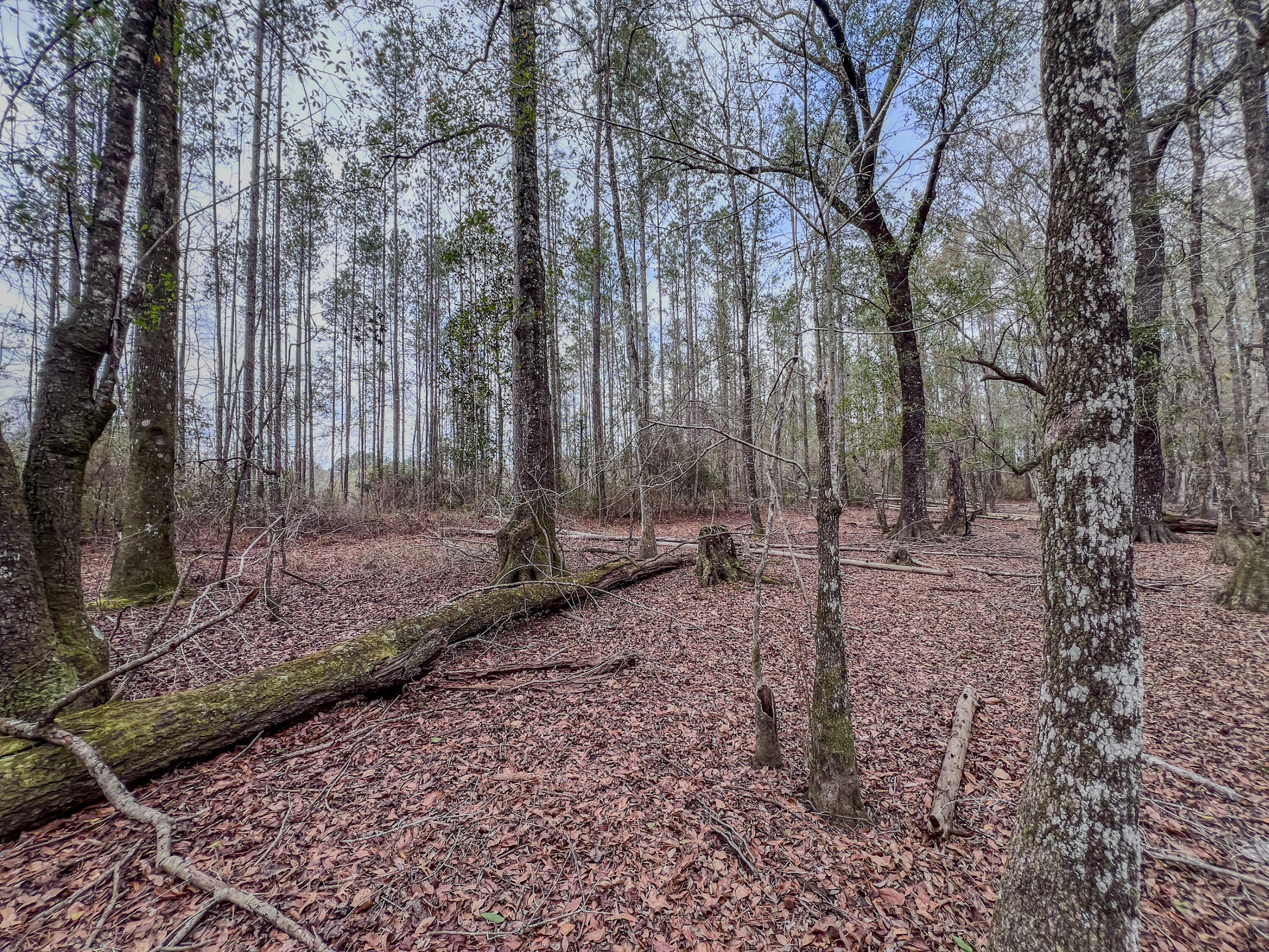 METES & BOUNDS - Land