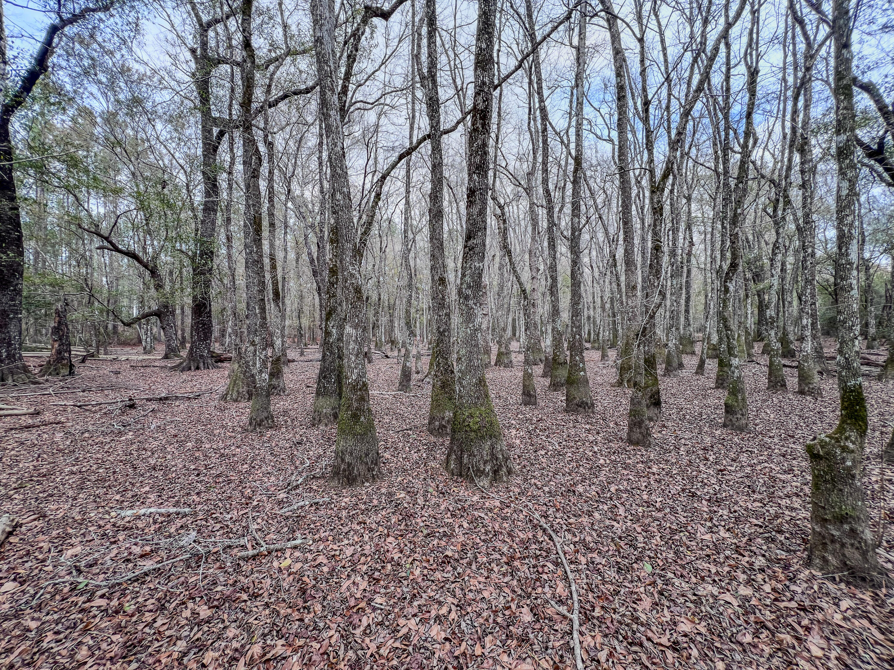 METES & BOUNDS - Land