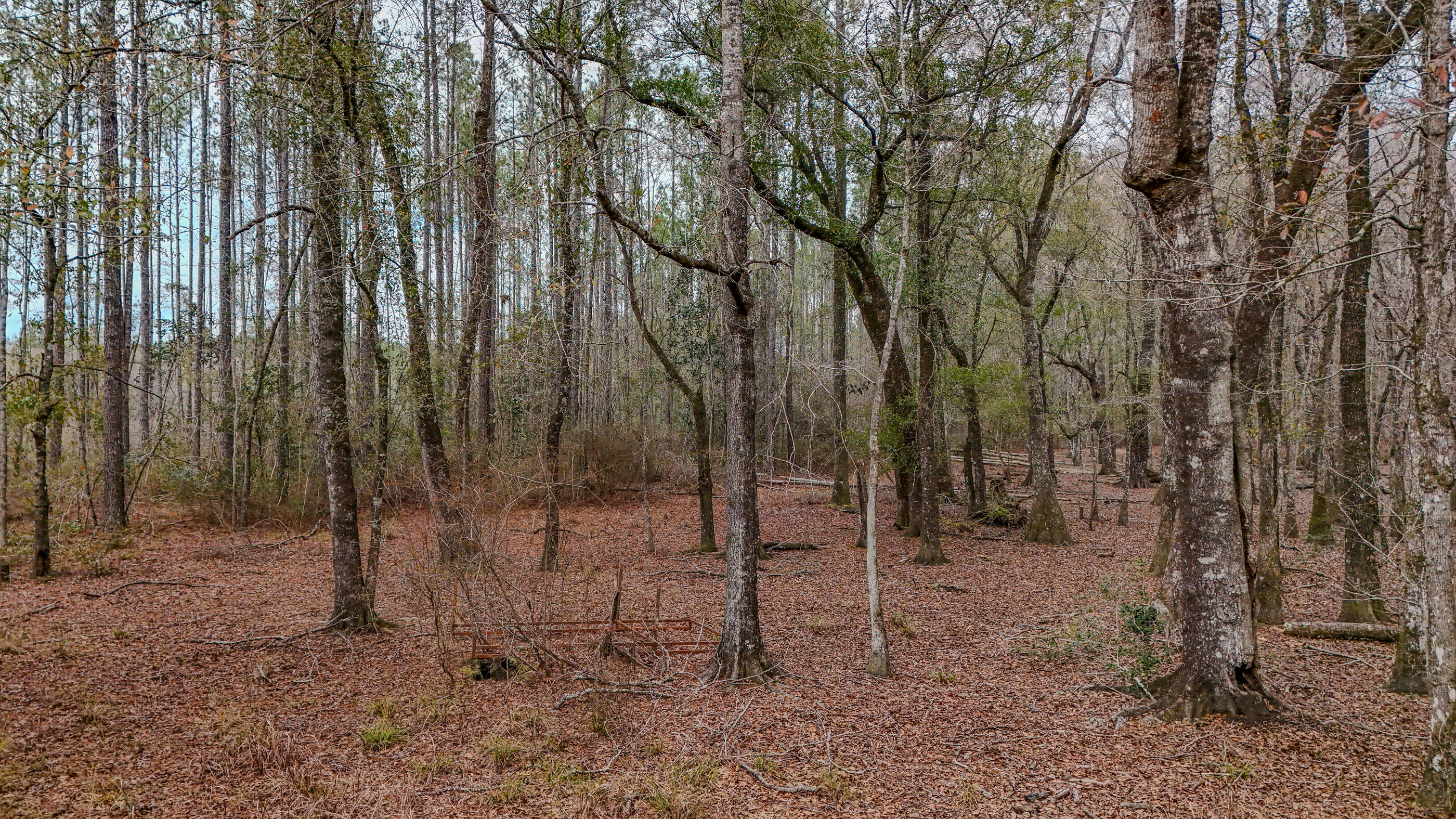 METES & BOUNDS - Land