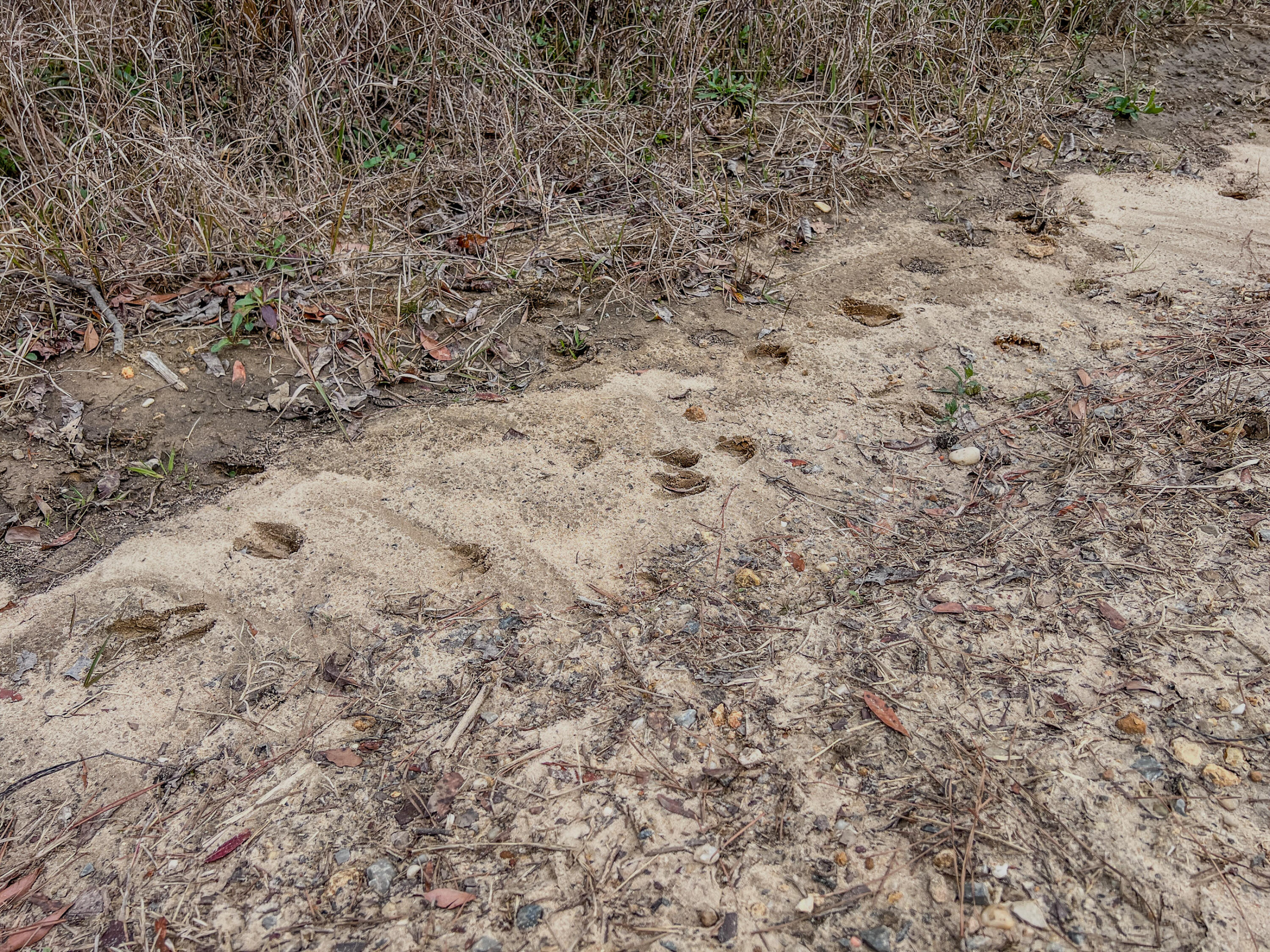 METES & BOUNDS - Land