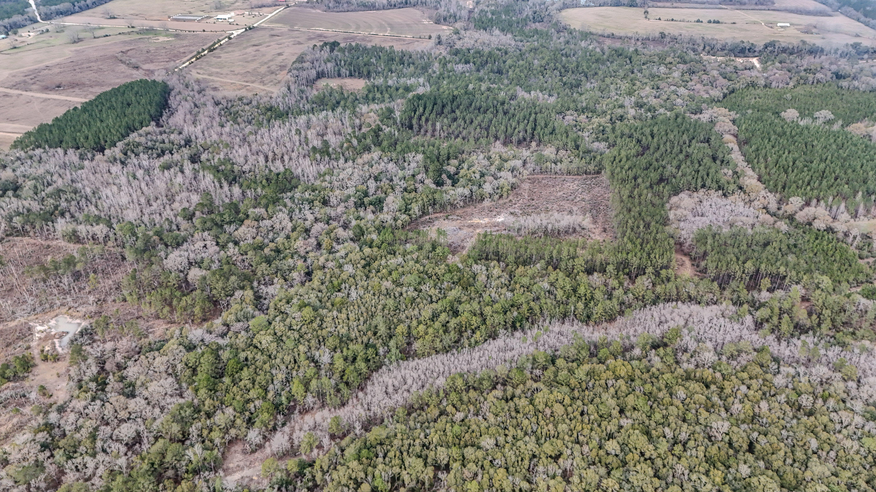 METES & BOUNDS - Land