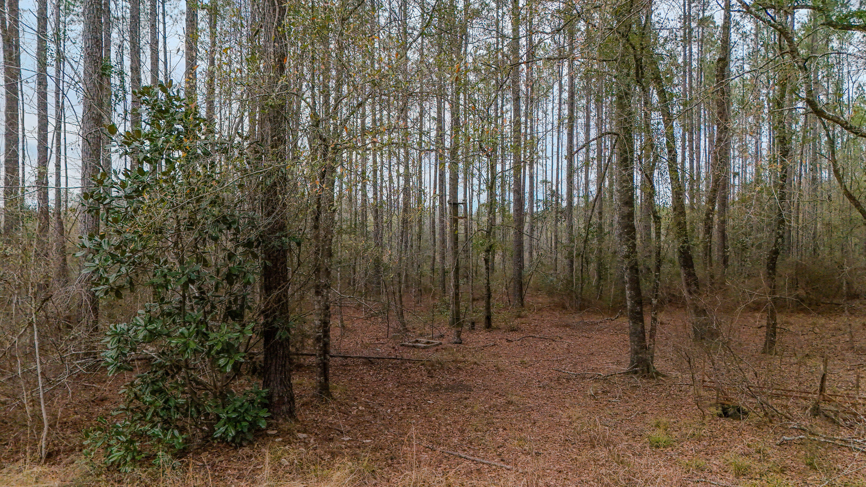 METES & BOUNDS - Land