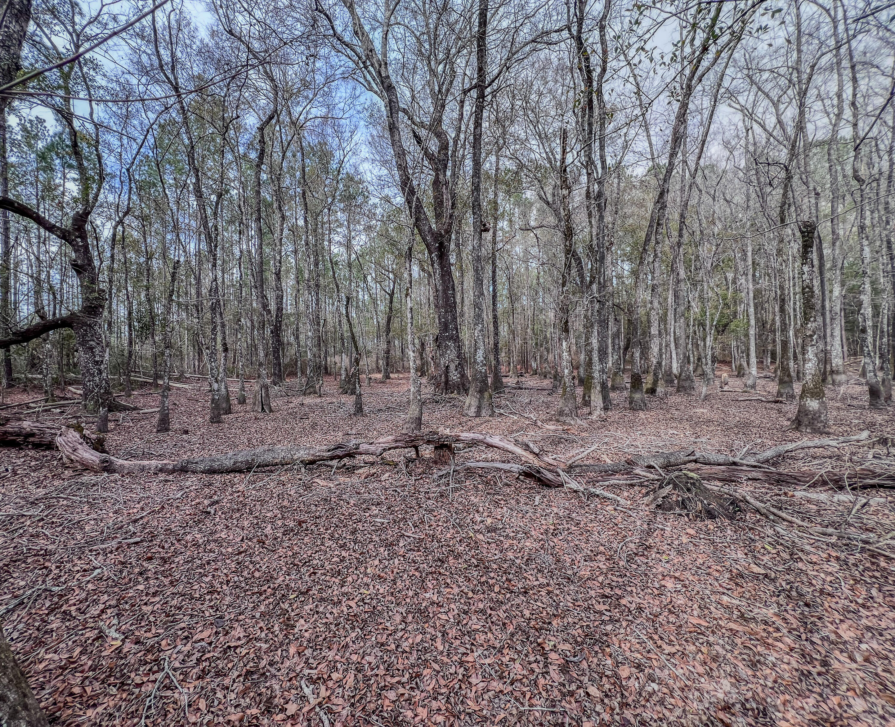 METES & BOUNDS - Land