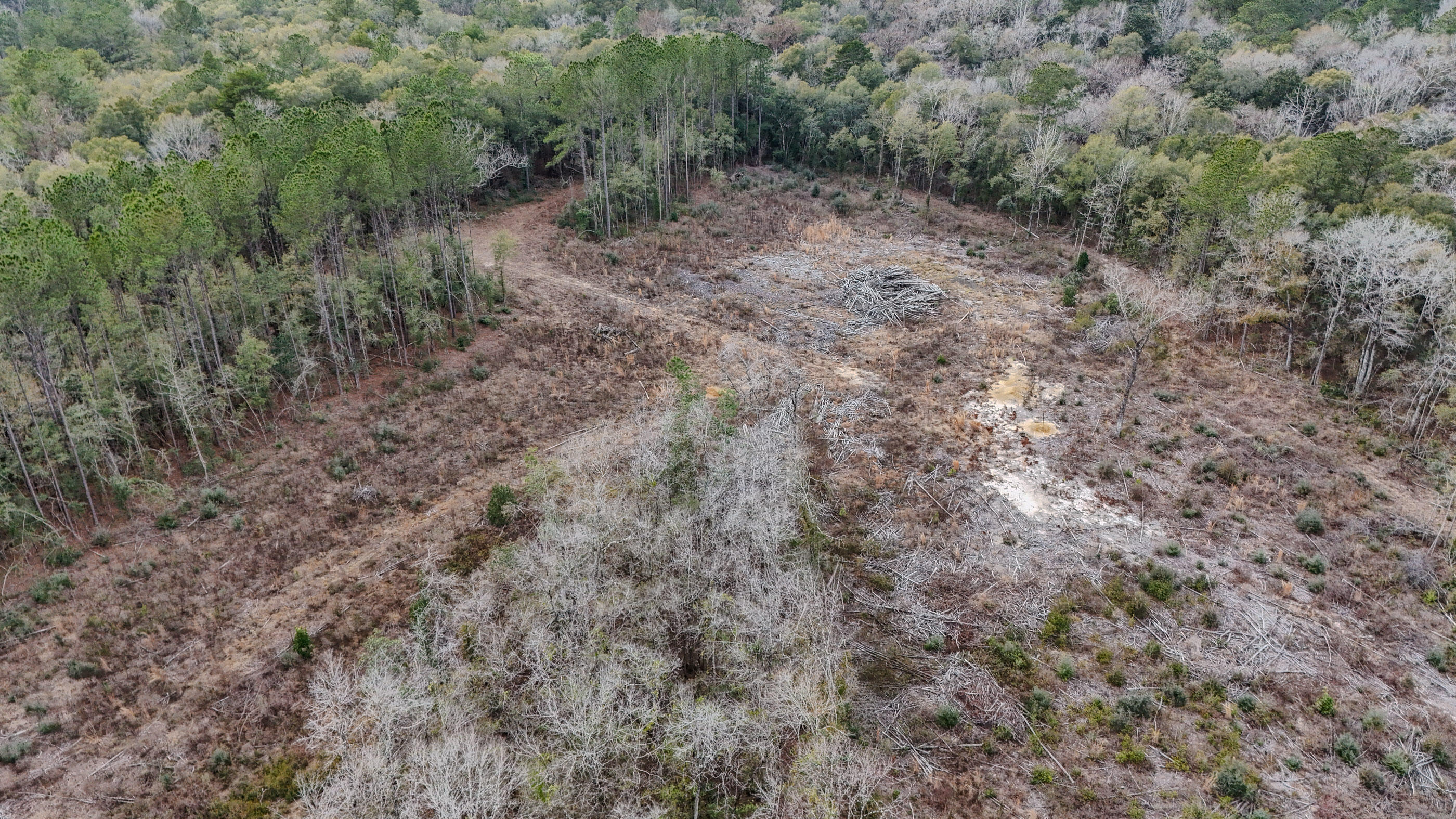 METES & BOUNDS - Land