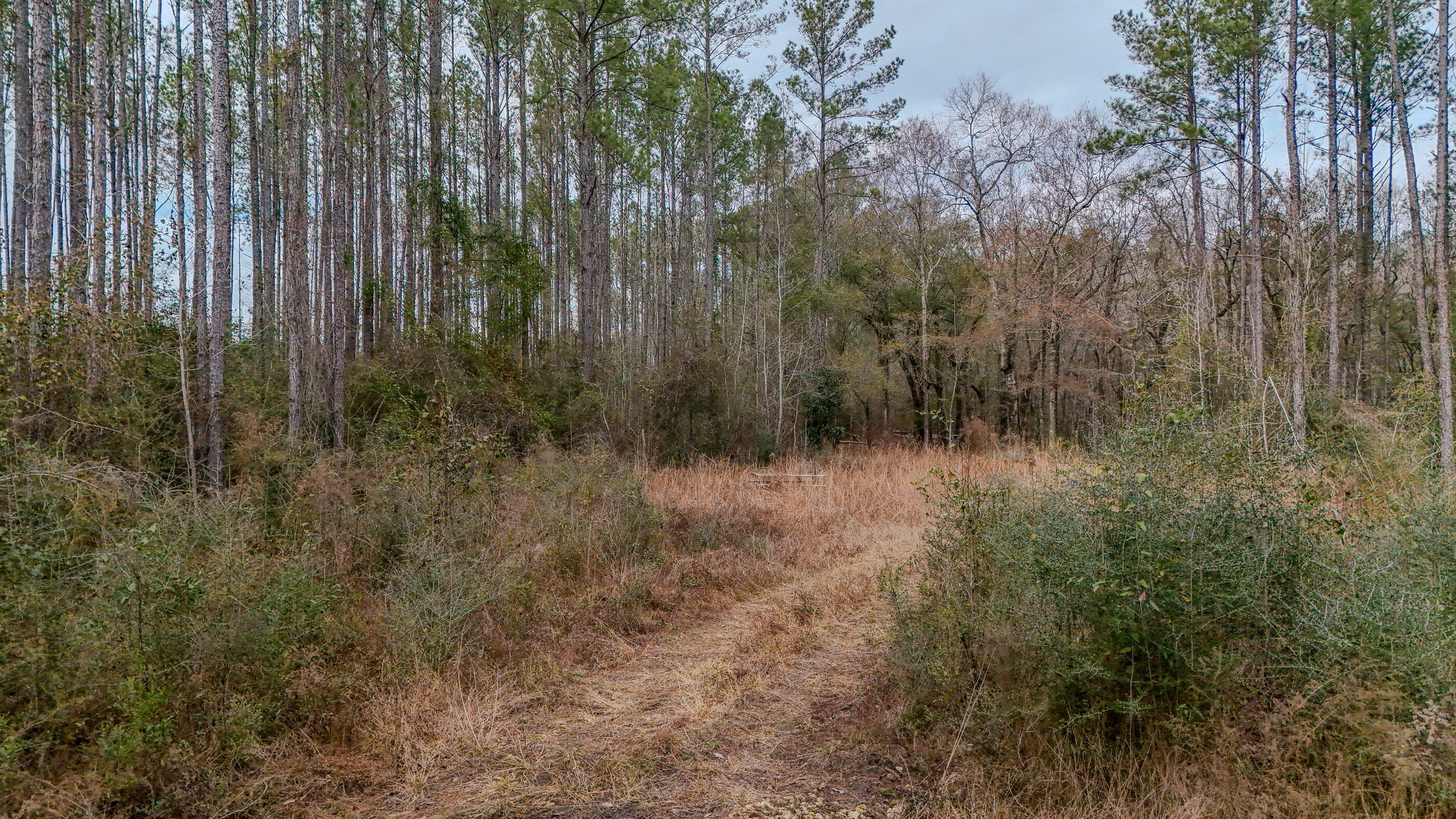 METES & BOUNDS - Land