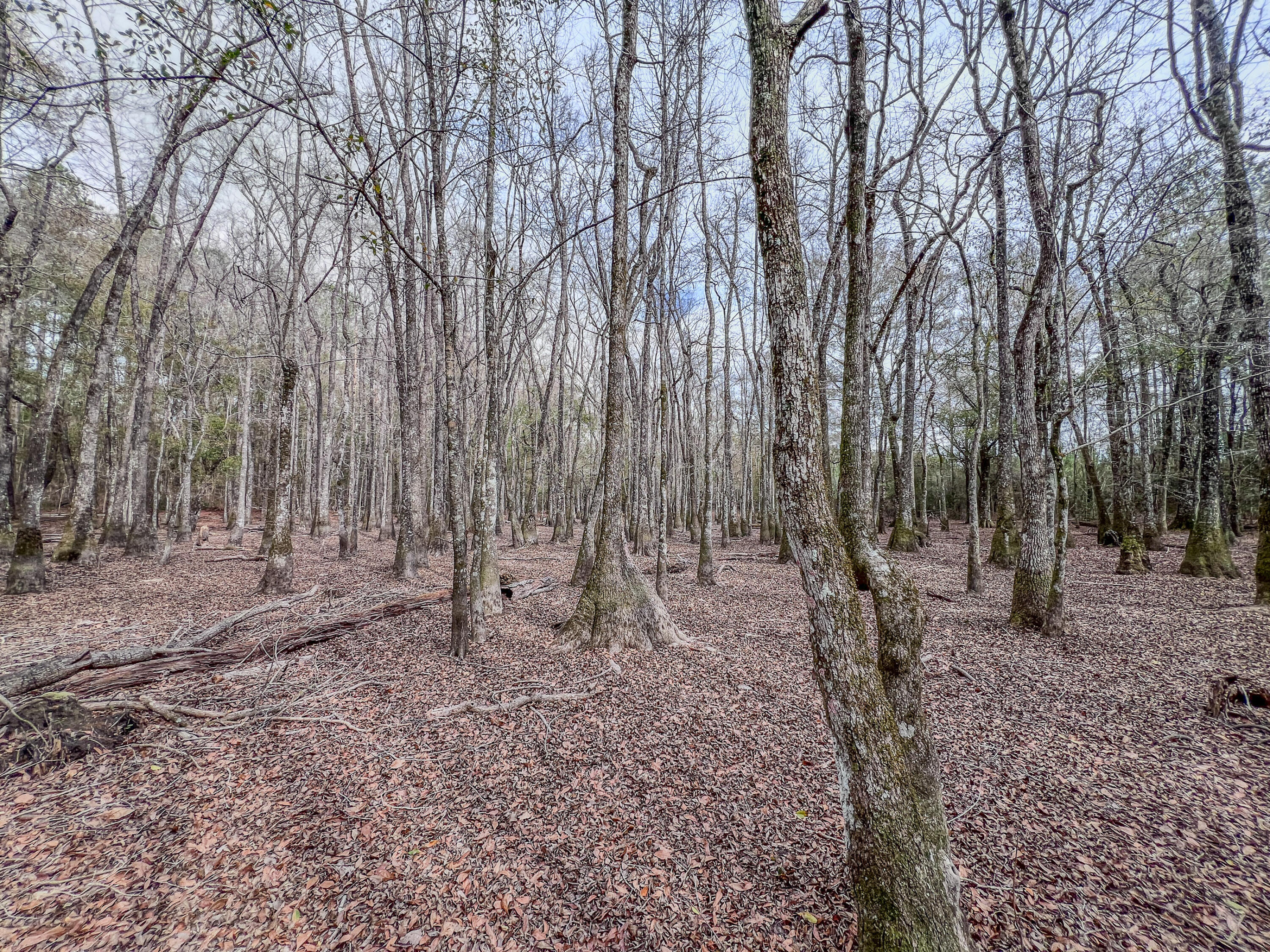 METES & BOUNDS - Land