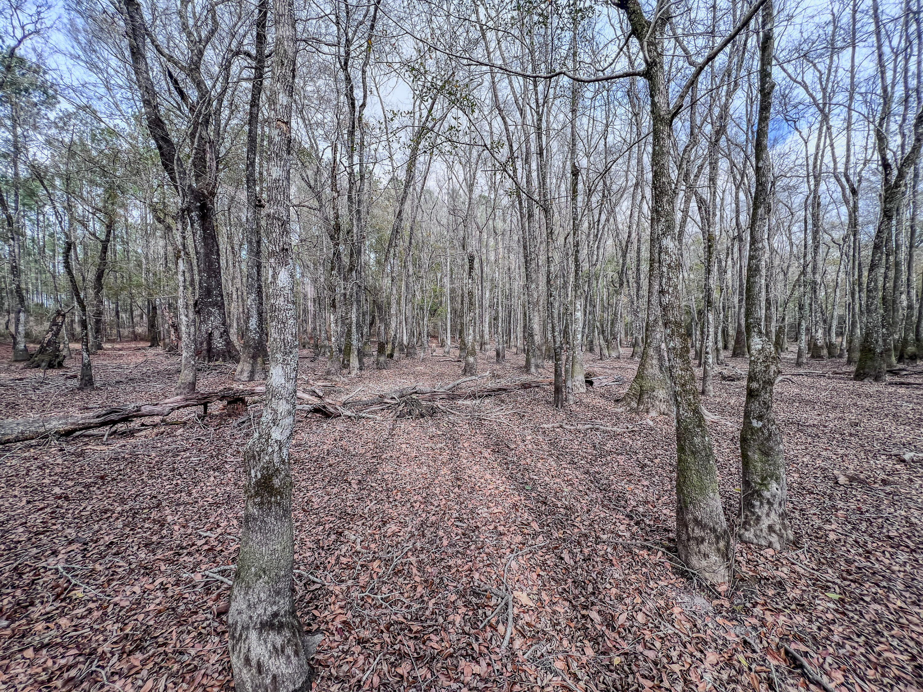 METES & BOUNDS - Land