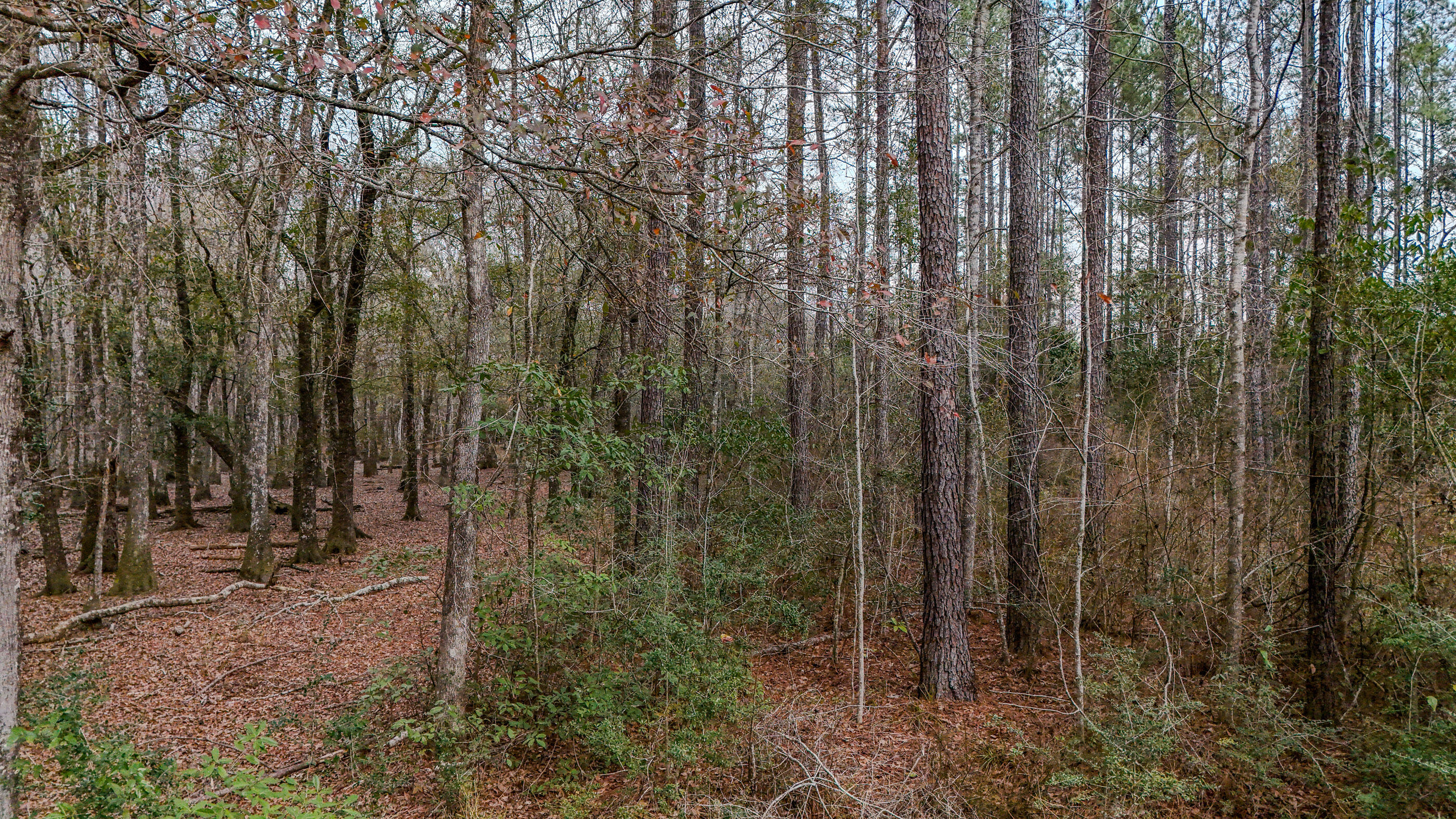 METES & BOUNDS - Land