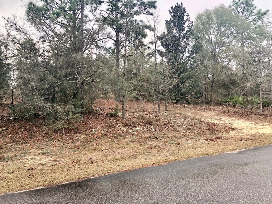 Bring an offer! Great one acre parcel in North Crestview - bring your plans! This would make an excellent custom homesite, as there are many established homes in the area. Nice and level, very lightly wooded. This lot is located on a dead end road and gives plenty of elbow room to build, while still maintaining space for privacy.