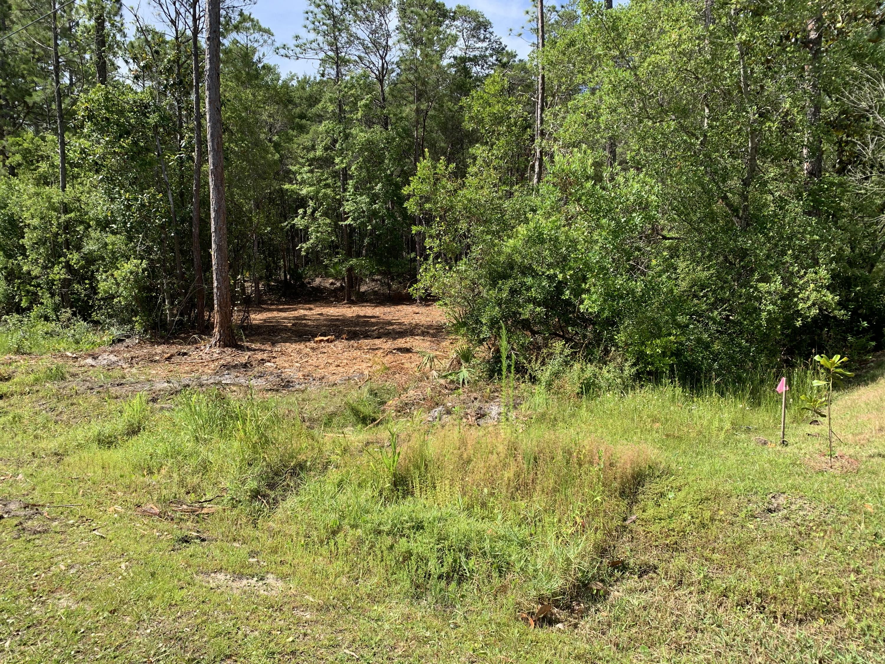 DAUGHETTES AMENDED - Land