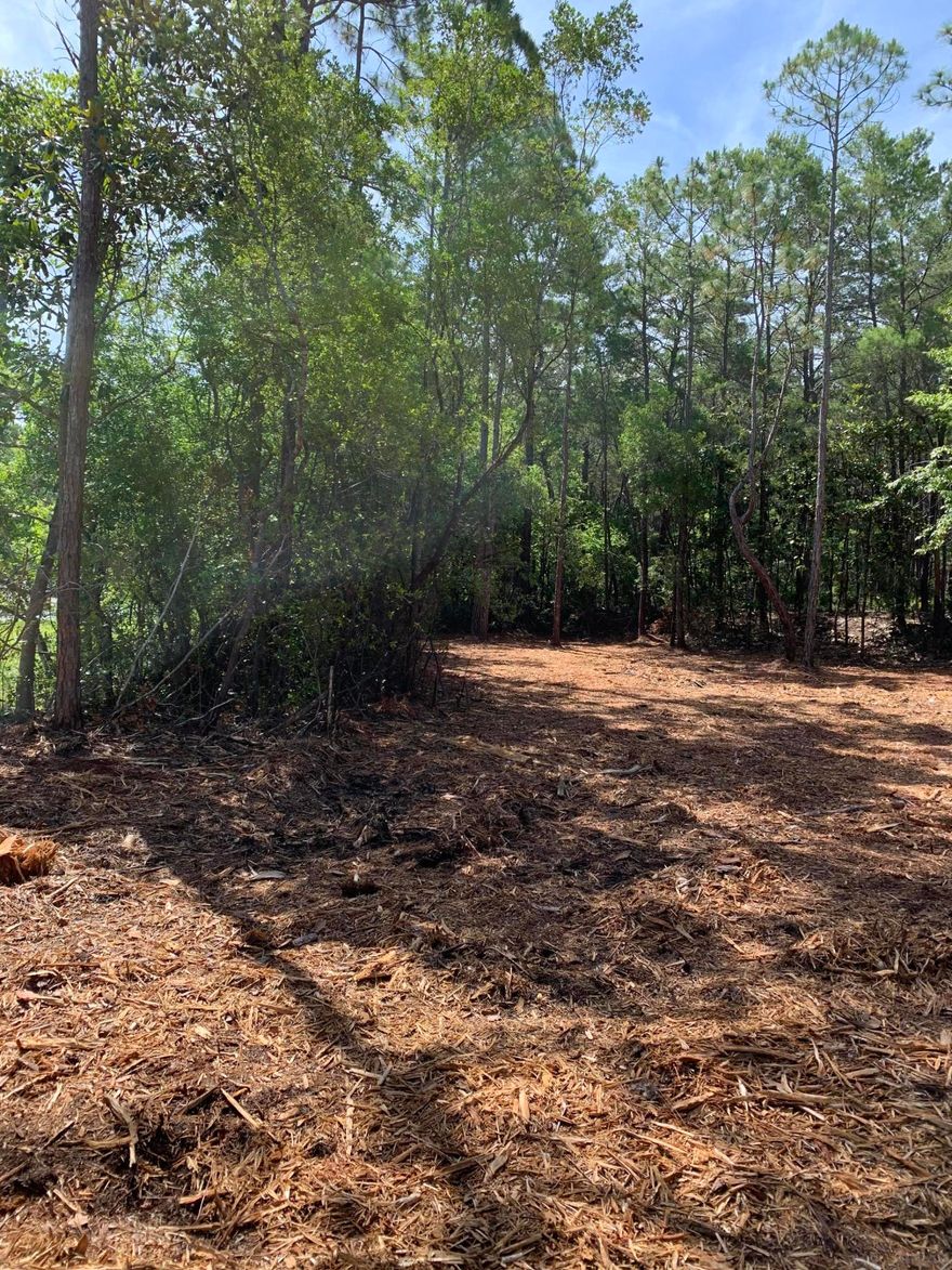 Extra large and level lot in desirable Daughettes neighborhood, perfect location. Peaceful and serene, bordering Point Washington State Park. With over 10,000 square feet of buildable area, you won't find another like this in Point Washington at such a great value. Plenty of room for large home, carriage house, pool, storage building, parking. Plus no HOA or architectural review, 5 minutes to Grayton Beach. Hold or build anytime. ''Owner is a licensed Florida Real Estate agent. All information in the listing is believed to be correct but must be verified by buyer.''