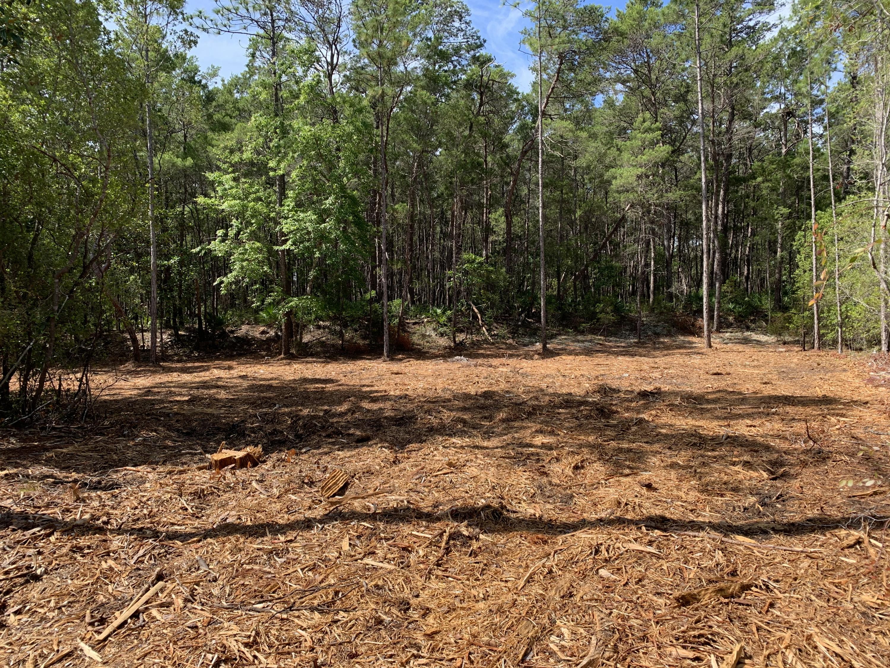 DAUGHETTES AMENDED - Land