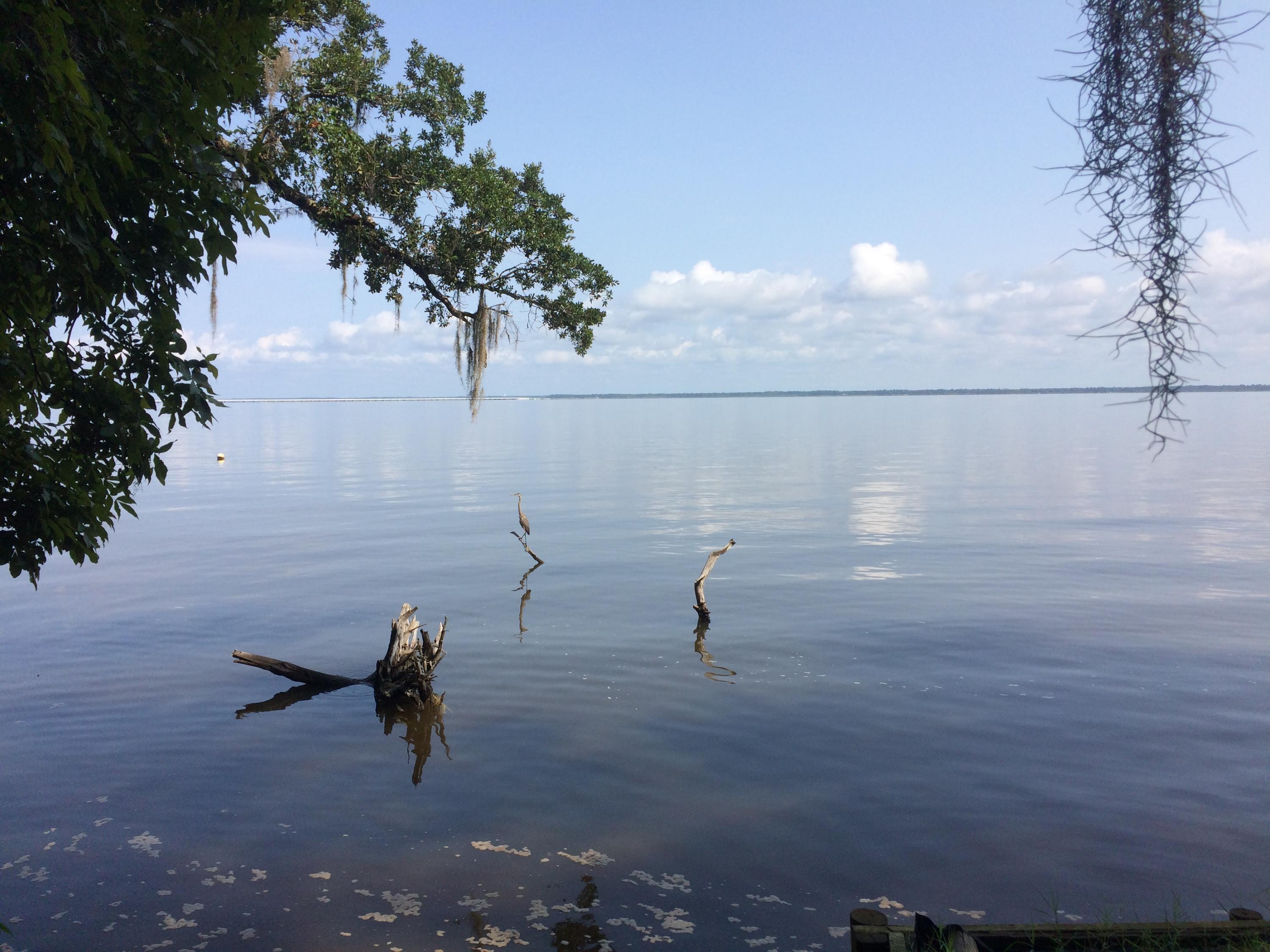 DAUGHETTES AMENDED - Land