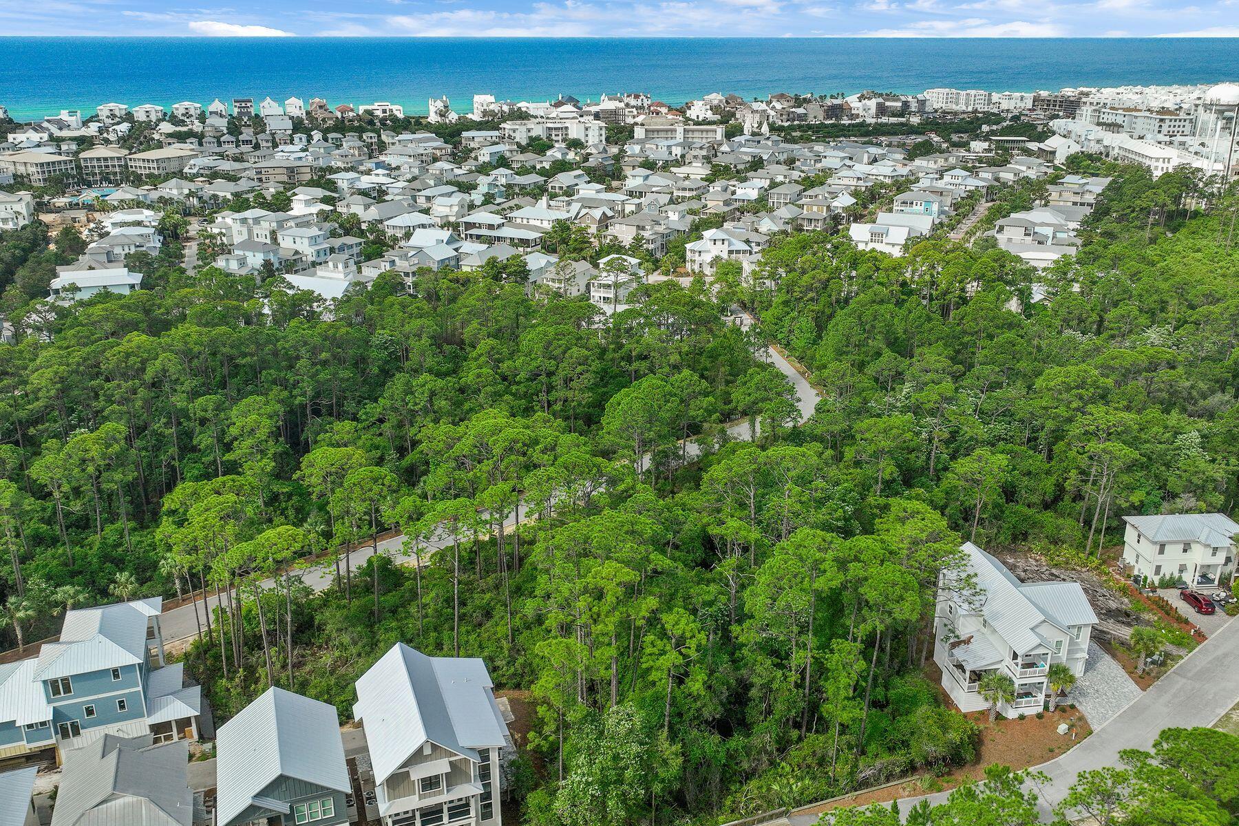 TREETOP - Land