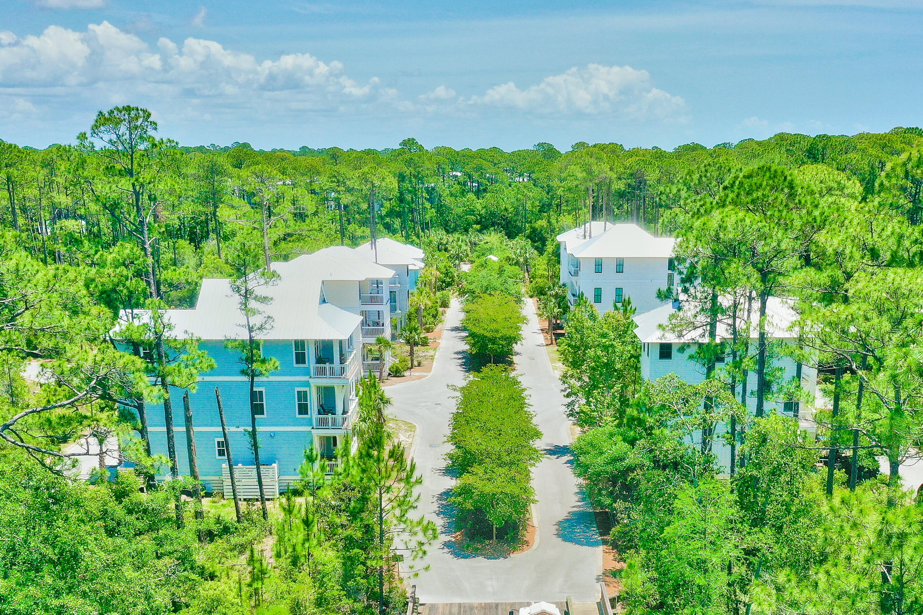TREETOP - Land
