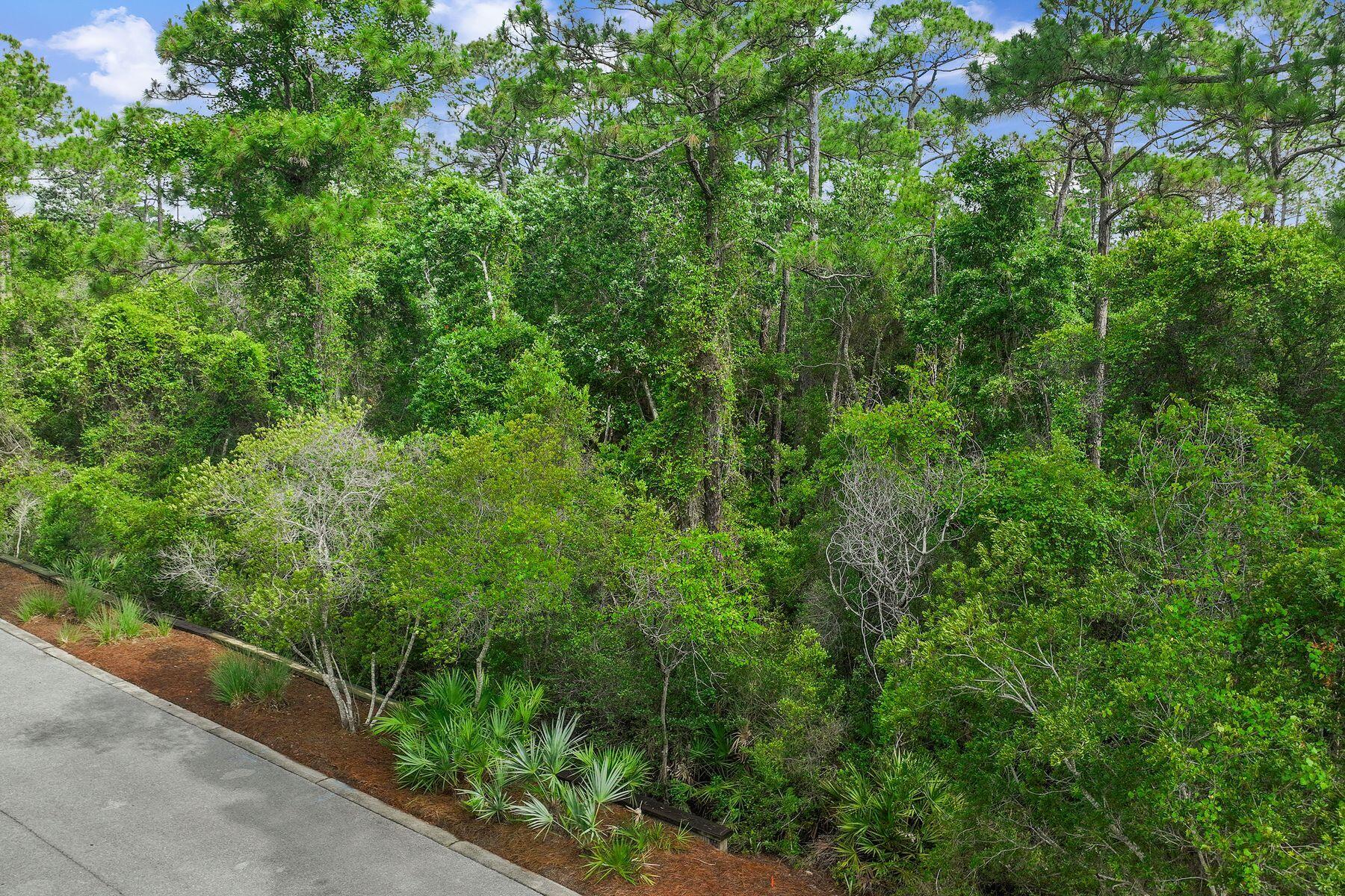 TREETOP - Land