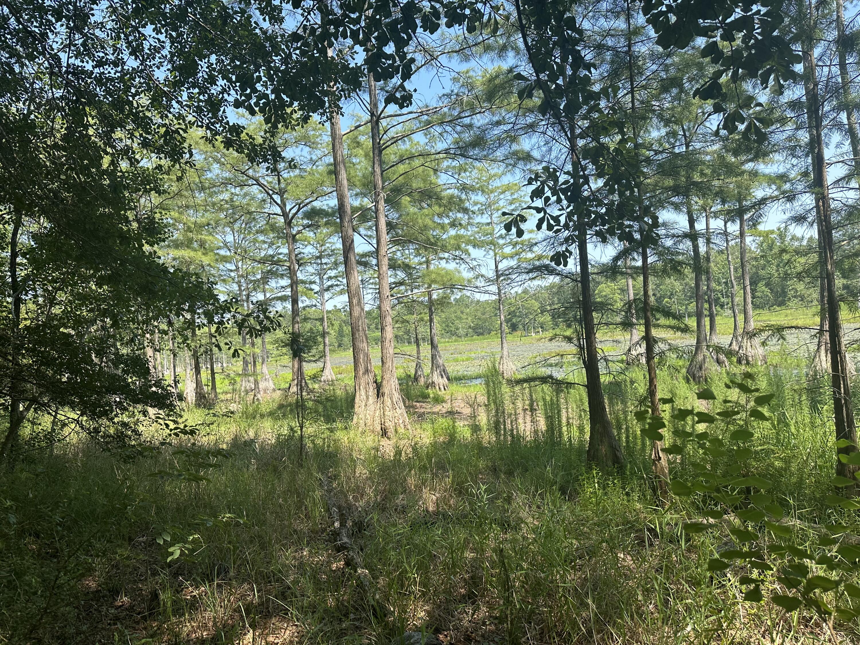 A unique piece of property. Approximately 126 +/- on Hwy 83. The pond is in the middle of the property with land behind the pond as well. There are 3 adjacent properties that boarder the pond. Property was inherited and sellers have no knowledge of it. Buyer(s) are responsible to personally verify all details for property and dimensions. Any information contained in they listing is believed to be accurate but is not guaranteed.