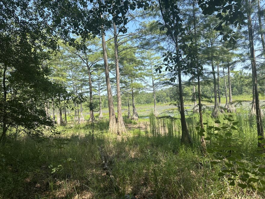 A unique piece of property.  Approximately 126 +/-  on Hwy 83. The pond is in the middle of the property with land behind the pond as well.   There are 3 adjacent properties that boarder the pond. Property was inherited and sellers have no knowledge of it.  Buyer(s) are responsible to personally verify all details for property and dimensions.  Any information contained in they listing is believed to be accurate but is not guaranteed.