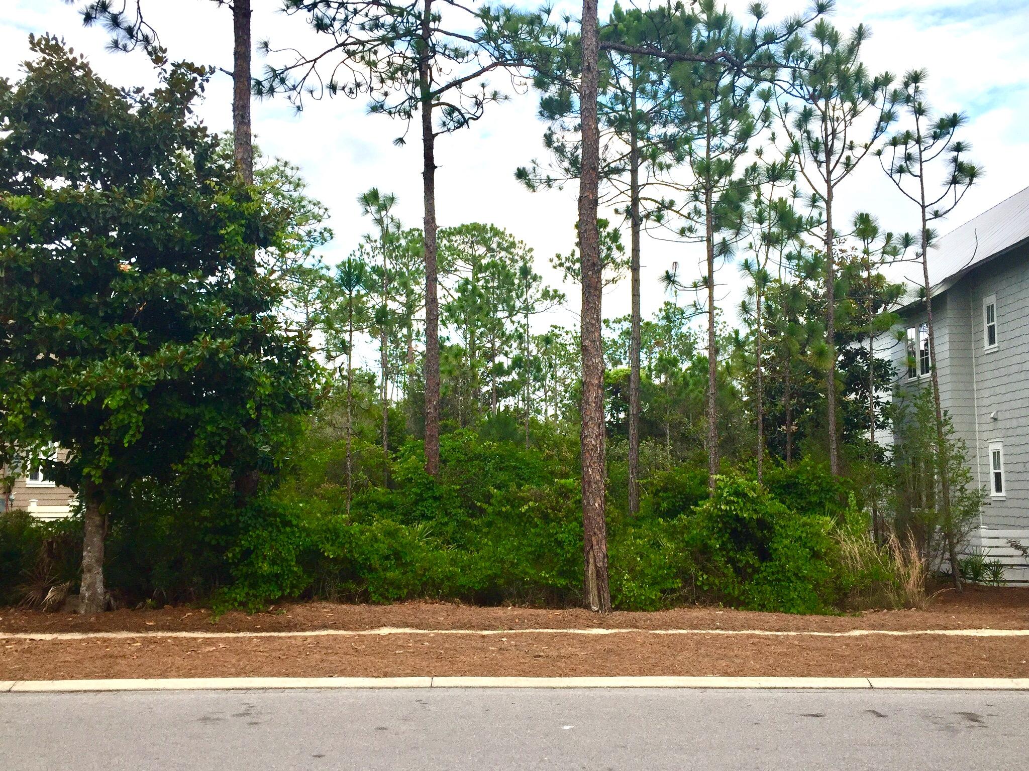 One of very few opportunities left for lots in Cedar Woods, a quiet, wooded area in Phase 4. The feel of seclusion yet close to all the amenities WaterColor has to offer:Community pools, Beach Club, Nature Trails, Kayaking & Canoeing, Fitness Center, Tennis and Camp WaterColor. Just a short walk or bike ride to the beach, Seaside, Publix, shopping and dining.