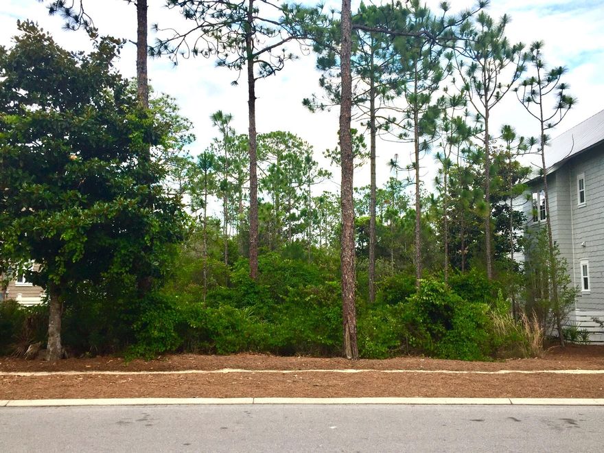 One of very few opportunities left for lots in Cedar Woods, a quiet, wooded area in Phase 4. The feel of seclusion yet close to all the amenities WaterColor has to offer:Community pools, Beach Club, Nature Trails, Kayaking & Canoeing, Fitness Center, Tennis and Camp WaterColor. Just a short walk or bike ride to the beach, Seaside, Publix, shopping and dining.