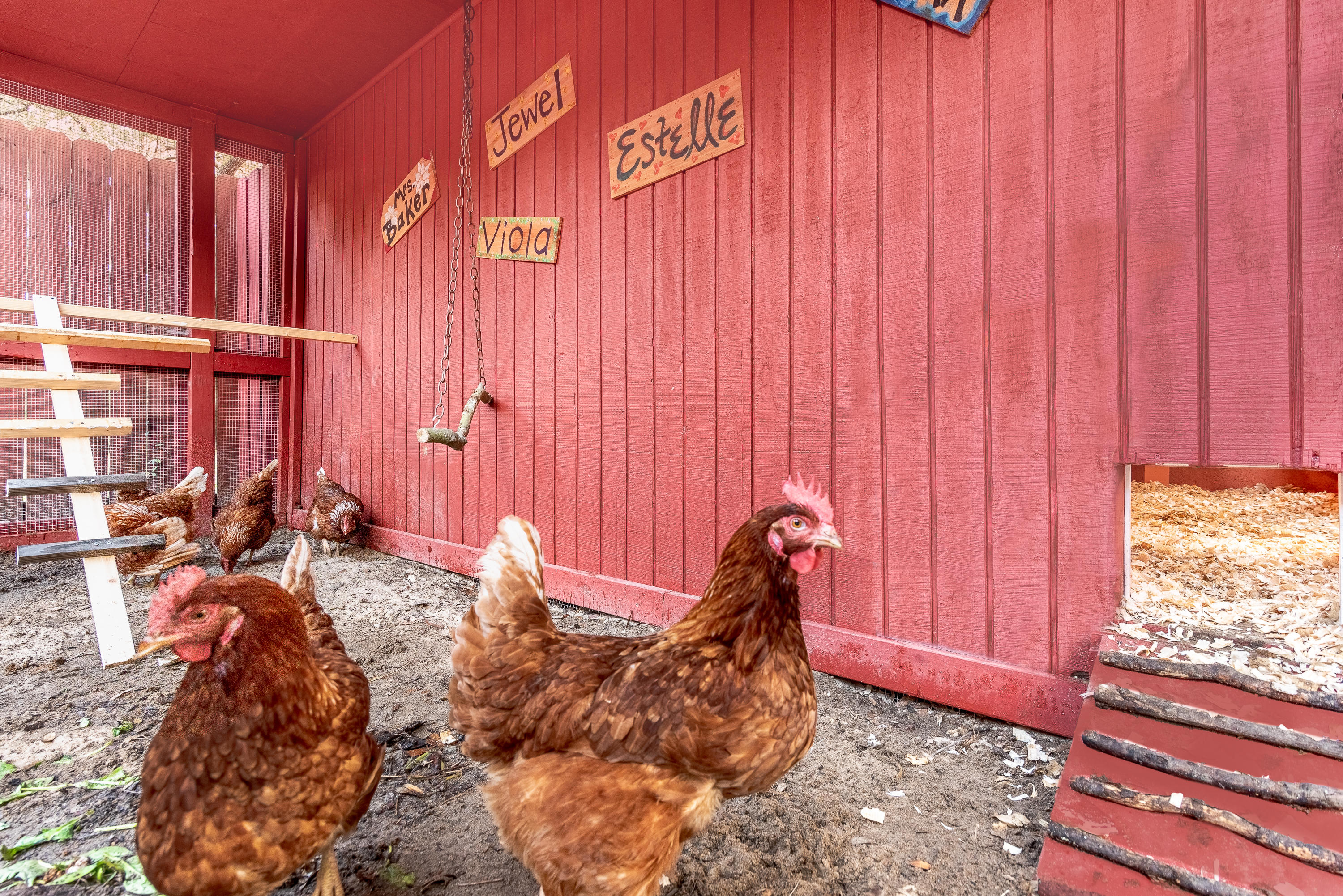 BASIN S/D - Residential