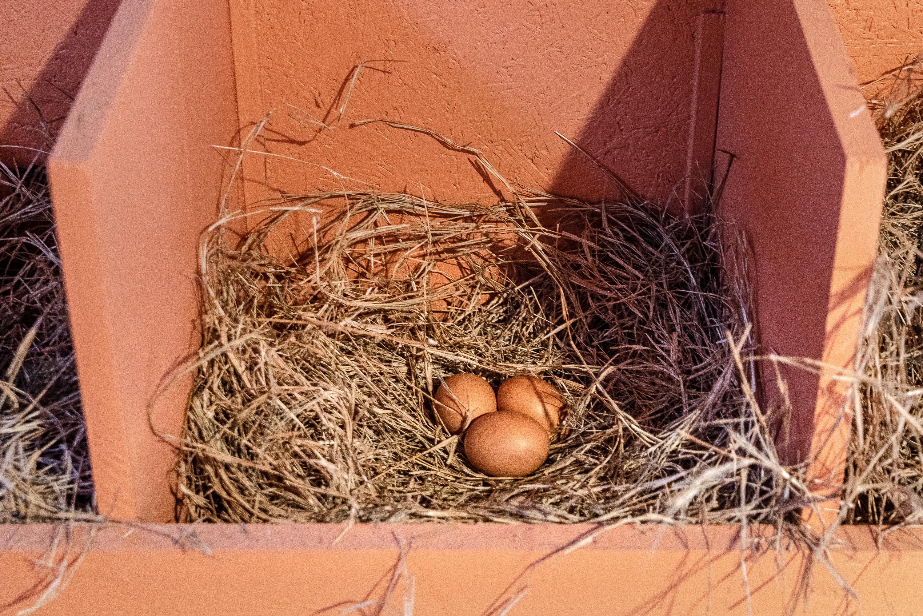 BASIN S/D - Residential