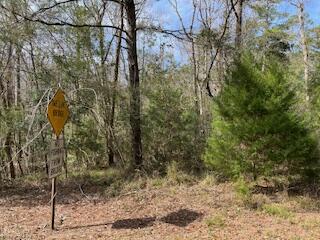 Choctawhatchee River Estates - Land