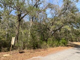 Choctawhatchee River Estates - Land