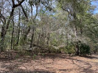 Ready to be built on! Wooded 1.537 acres combining two lots in the Choctawhatchee River Estates would be a great location for a weekend retreat or fishing cabin. Property has a well, a soil analysis completed and electric at the street along with an already installed septic tank for a 1100 square foot house. Choctawhatchee River Estates is a river community with beautiful homes and several new construction homes being built with no HOA fees! Conveniently located 20 min to Freeport and an easy drive to the beach. Properties in this area are in short supply, come see this beautiful wooded property and make it your own!