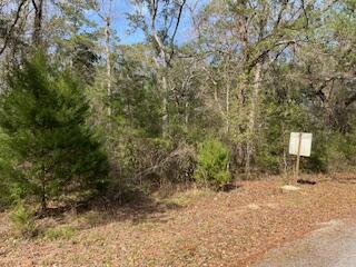 Choctawhatchee River Estates - Land