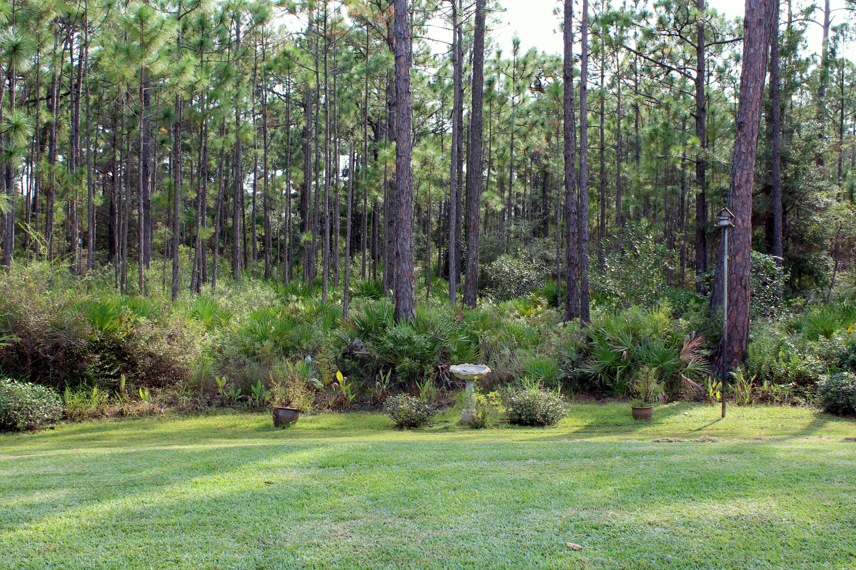 BAYOU FARMS - Residential