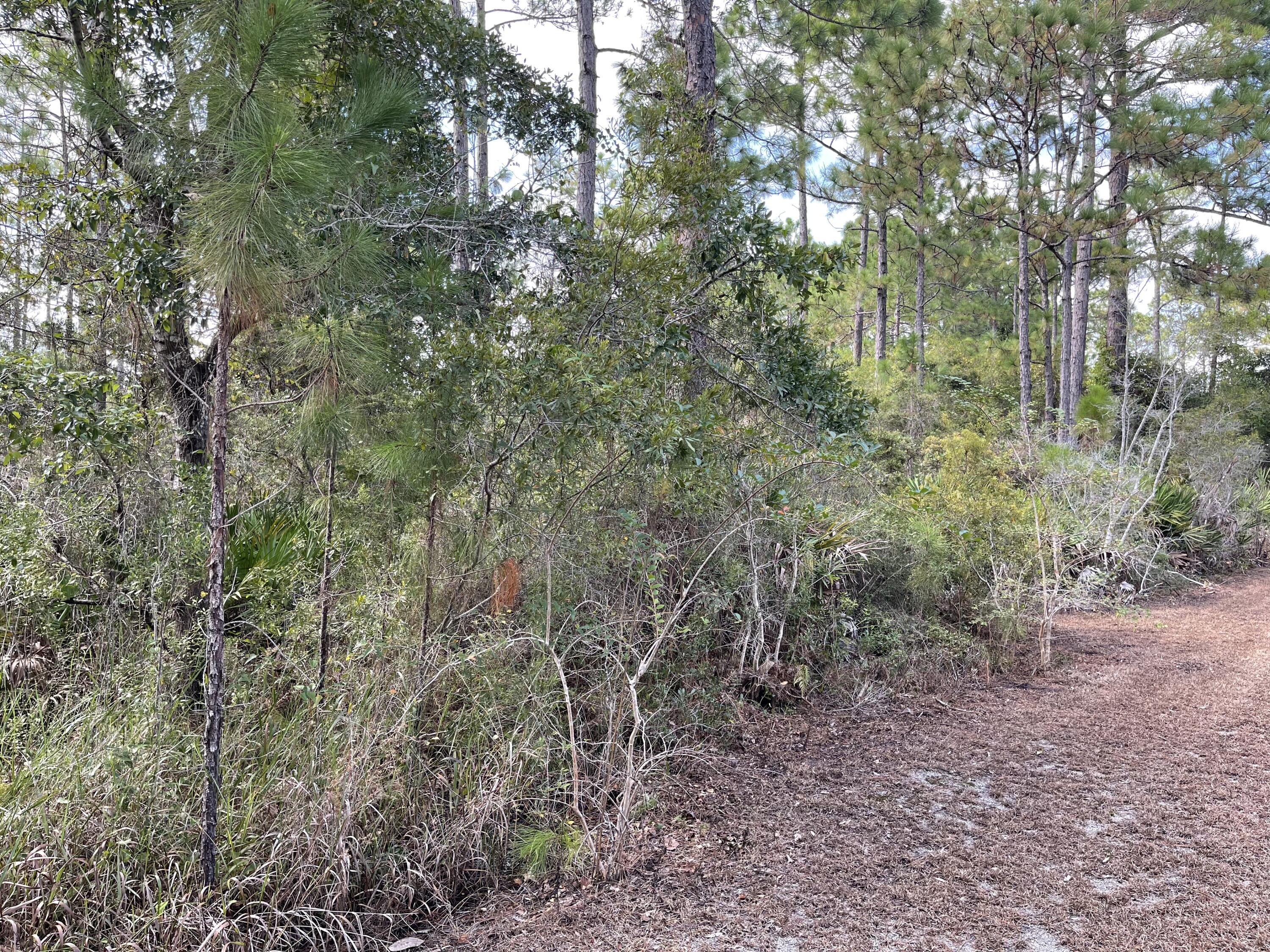 EXCLUSIVE BEACH - Land