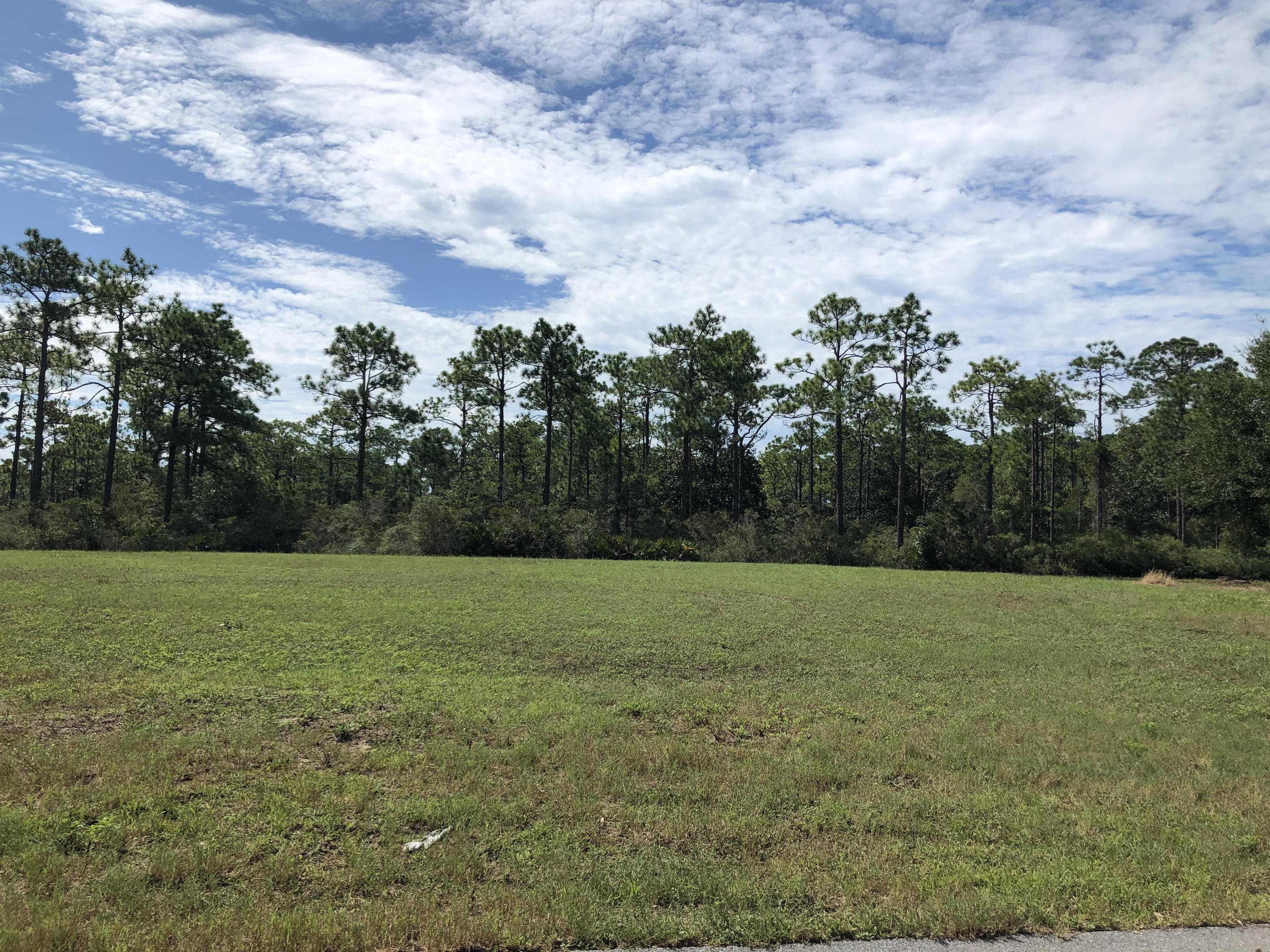 BAYOU PINES S/D UNREC - Land