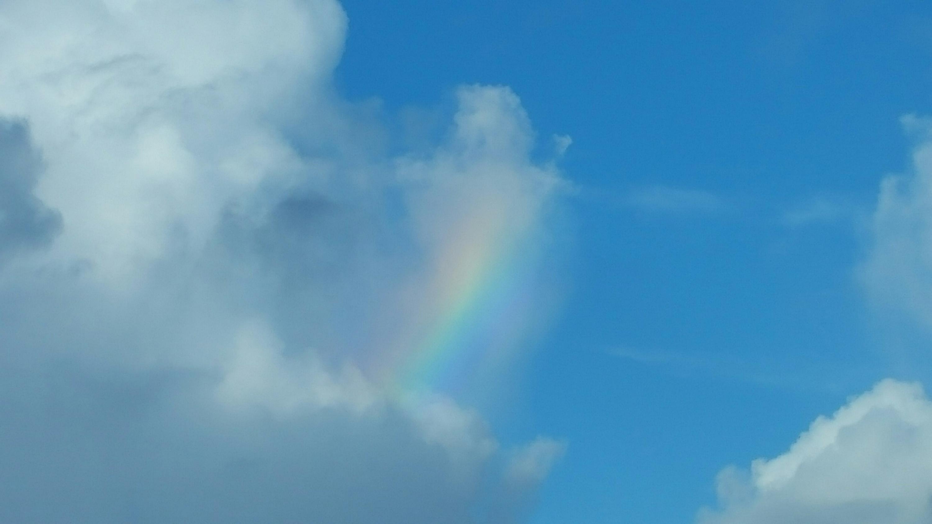 TWIN PALMS RESORT - Residential